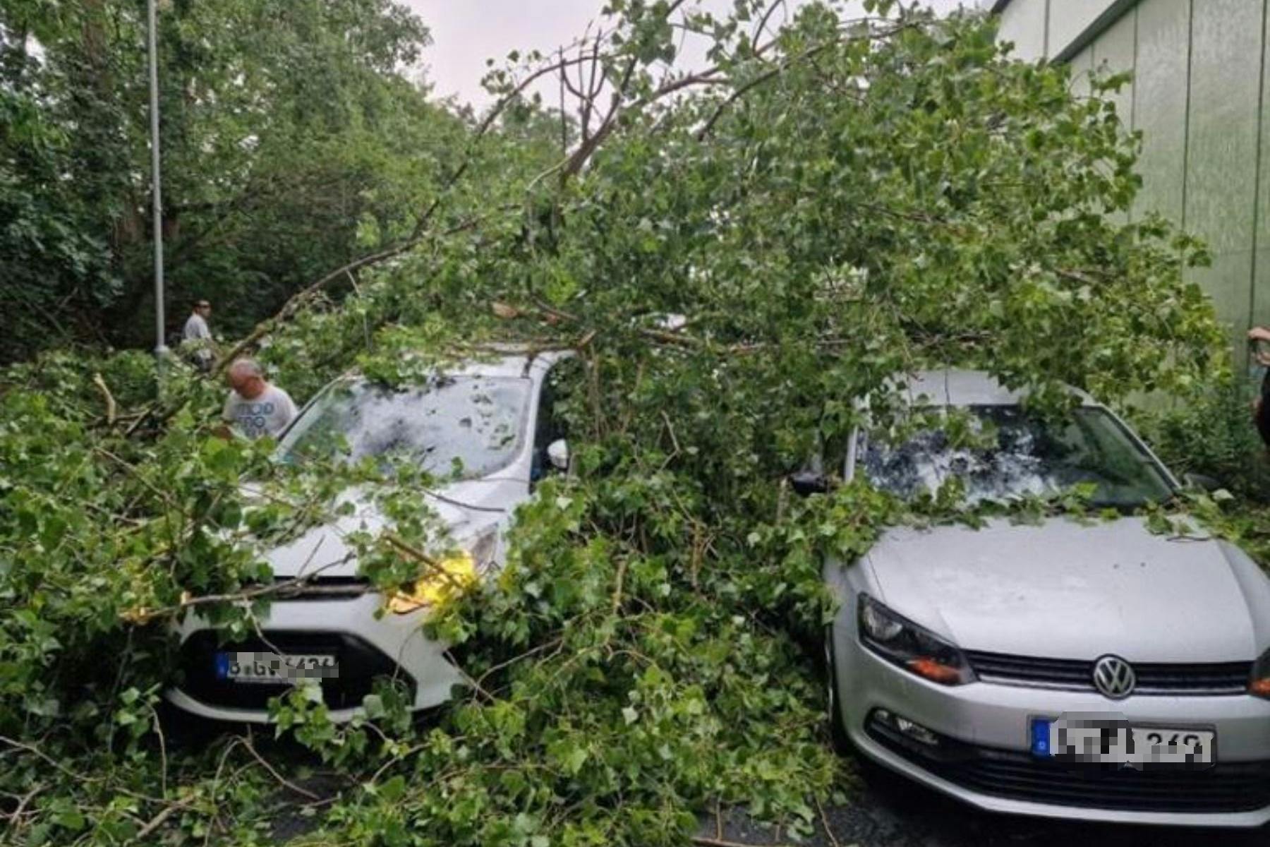 Feuerwehrmann Daniel S. hat an der Abfahrt Waidmannsluster Damm eine Frau und ein Kind aus einem der Autos befreit.