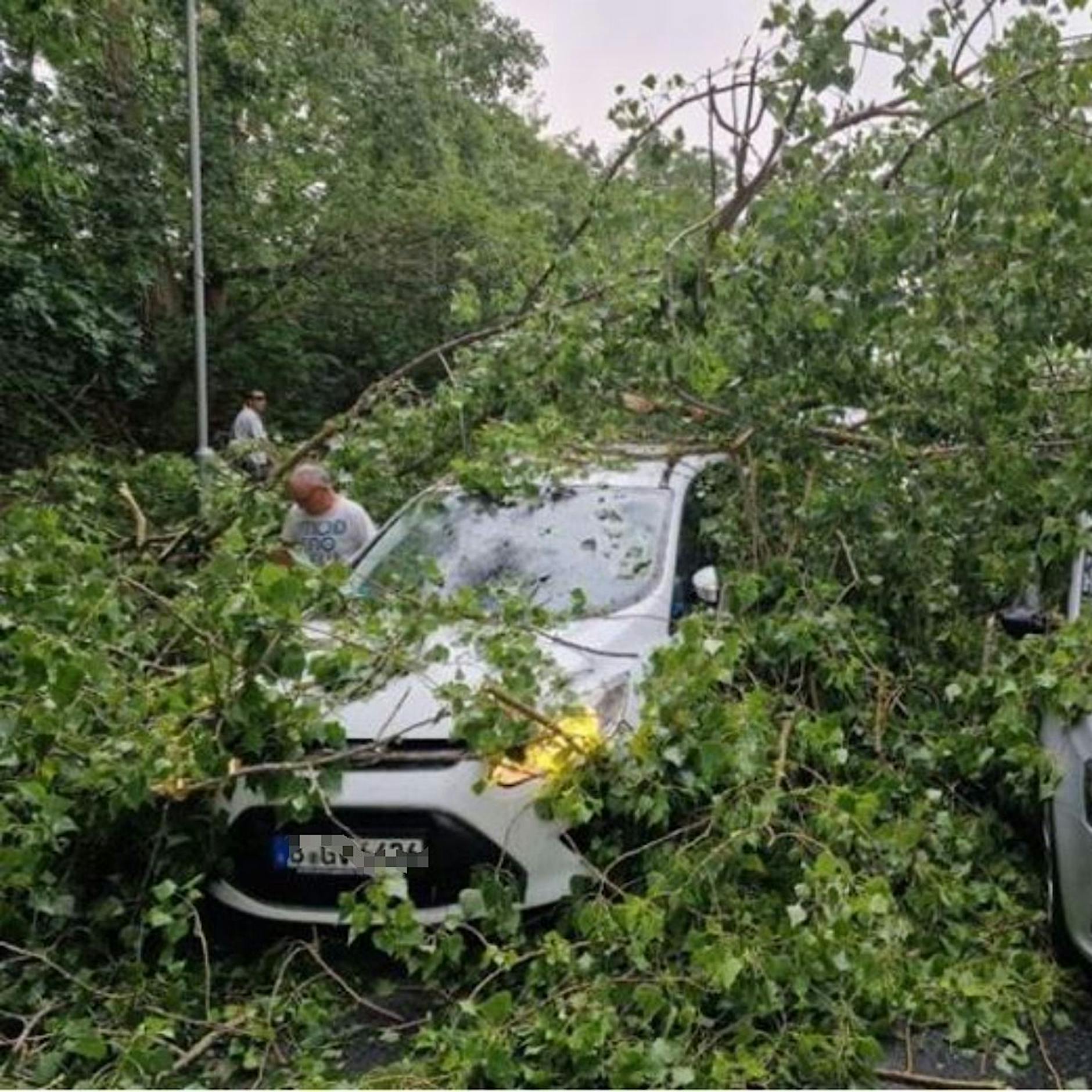 Starkregen in Berlin: Umgekippte Bäume, überschwemmte Straßen und Autobahnen