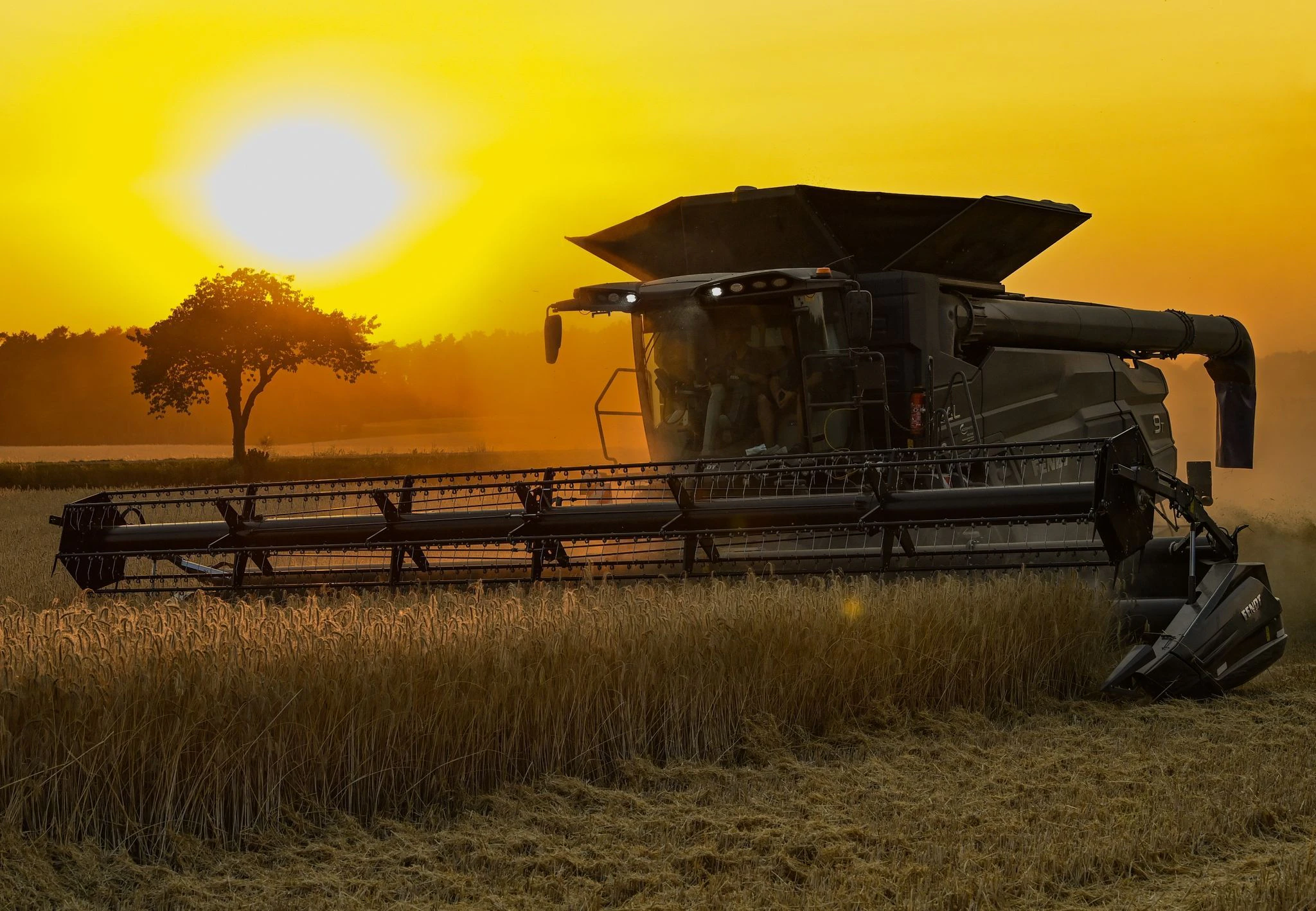 ARCHIV - Ein Landwirt erntet mit seinem Mähdrescher im Sonnenuntergang Roggen auf einem Feld in Ostbrandenburg. Die Landwirte erwarten trotz leichter Entlastung bei den Kosten für Energie und Dünger eine weiter angespannte Geschäftslage - und bangen vielerorts um die Erträge auf den Feldern.  