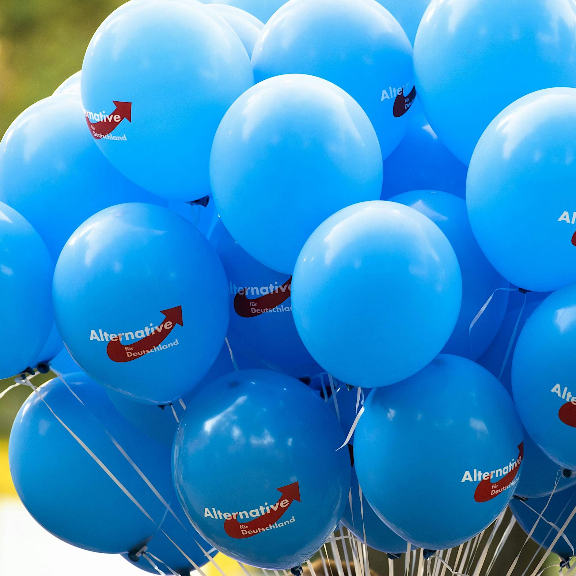 AfD in Sonneberg: Mann mit Neonazi-Shirt verteilt Ballons an Kitakinder – Video