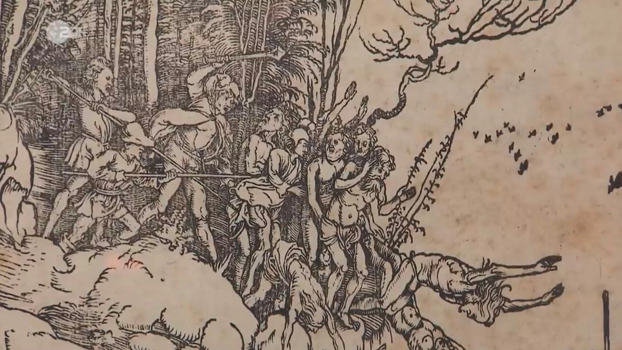 Bei „Bares für Rares“ steht die Frage im Raum: Wer will sich so ein gräuliches Kunstwerk, wie dieses von Albrecht Dürer, ins Wohnzimmer hängen?