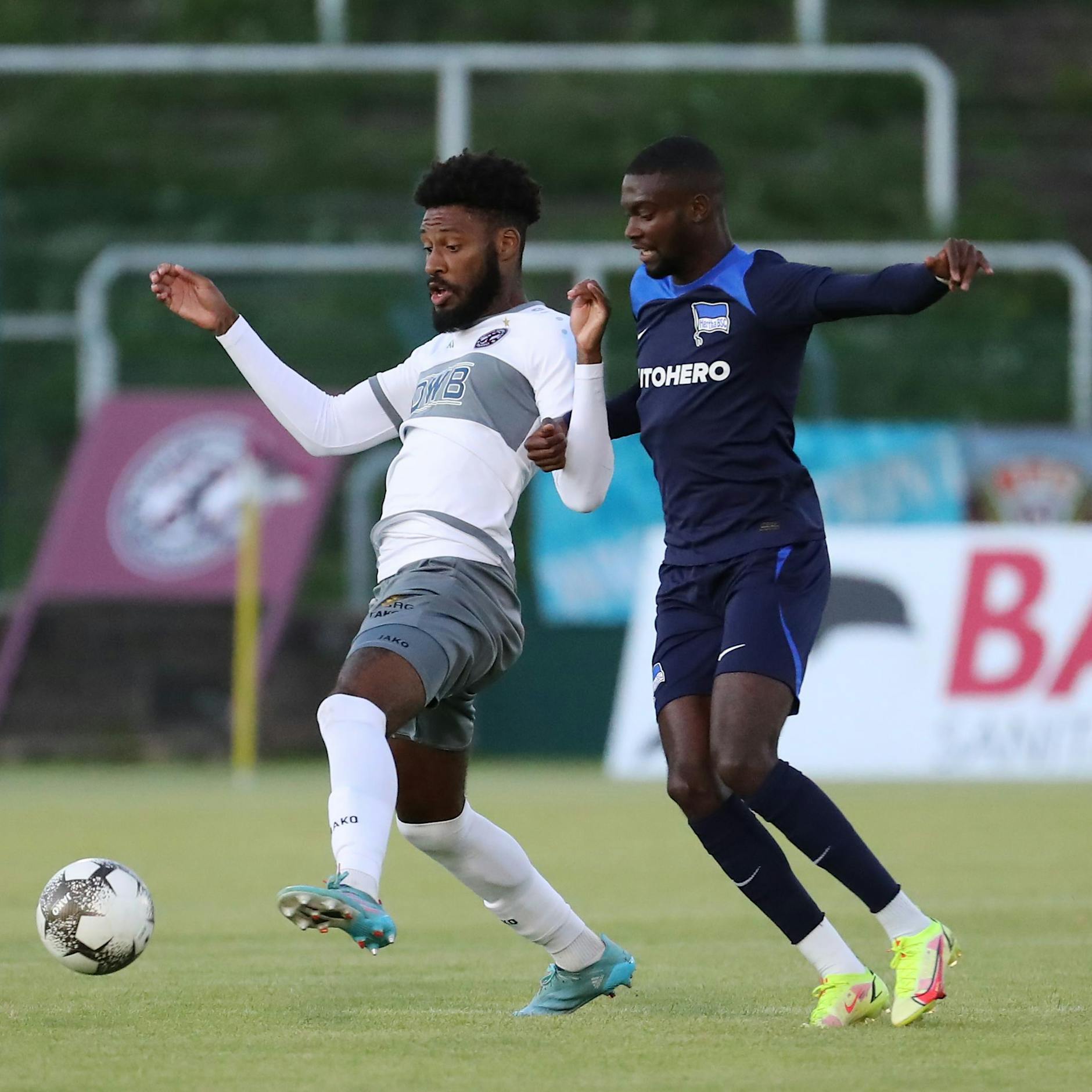 Elf Neue müsst ihr sein! Hüther und Wießmeier verstärken den BFC Dynamo