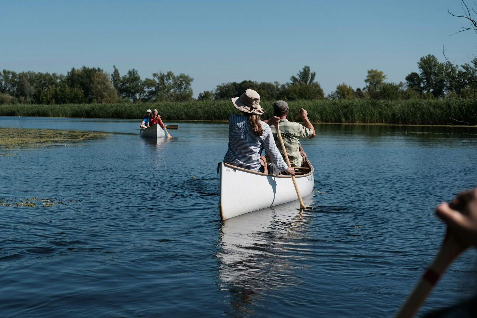 Im Unteren Odertal sind für die Naturerlebnisse keine Motorboote erlaubt – nur Kanus.