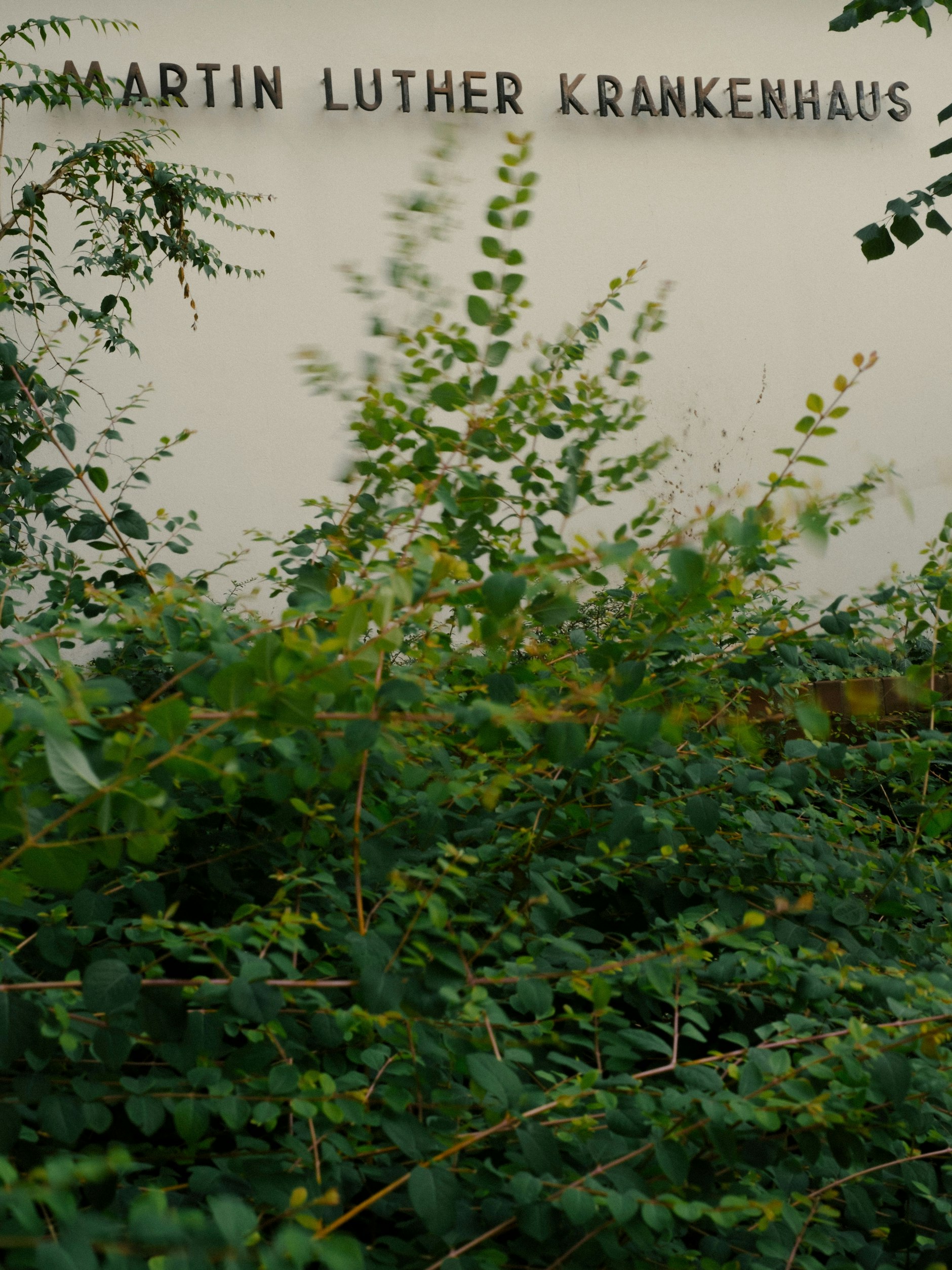 Die begrünte Fassade des Martin-Luther-Krankenhauses.