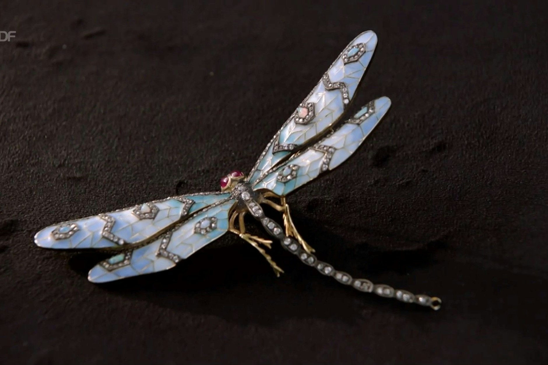 Bei „Bares für Rares“ wird in der XXL-Sendung diese Libelle verkauft.