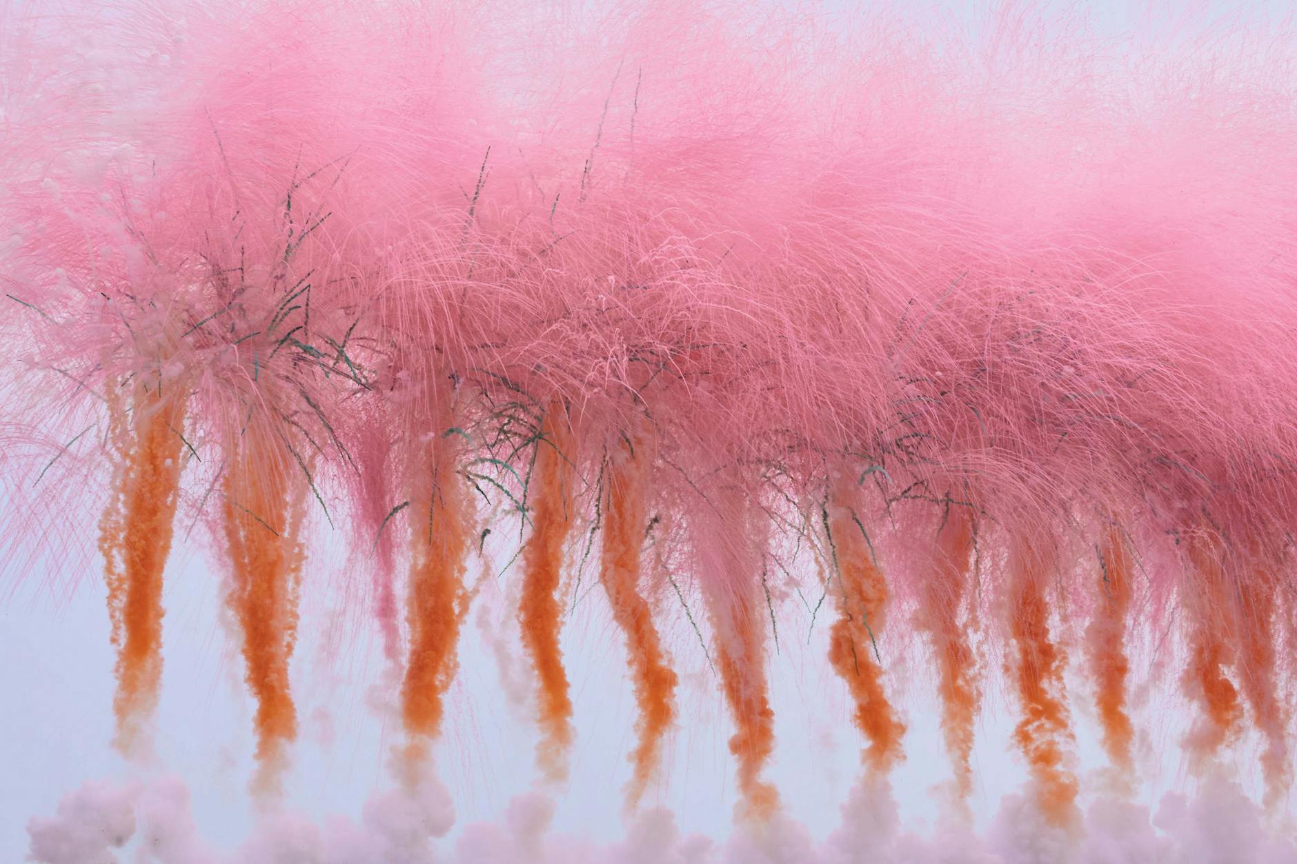 Fast besser als das Original: die japanische Kirschblüte, mit Raketen in den Himmel katapultiert.