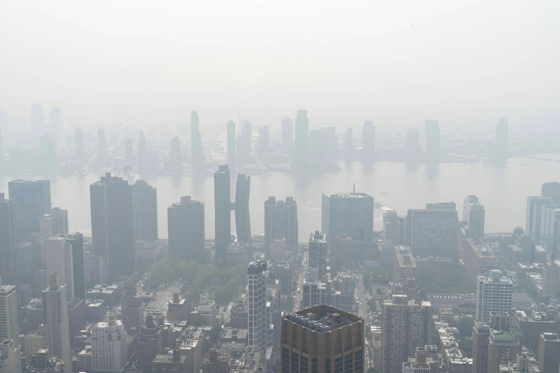 New York City Einwohner klagen über unbekannte, winzige Insekten