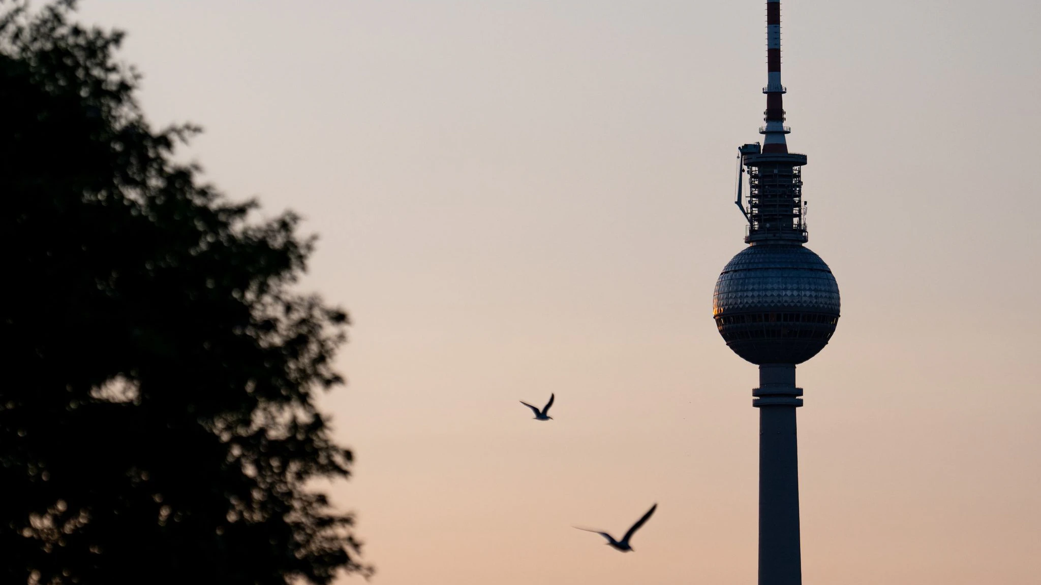 In der DDR erbaut, bis heute Symbol für Berlin: der Fernsehturm.