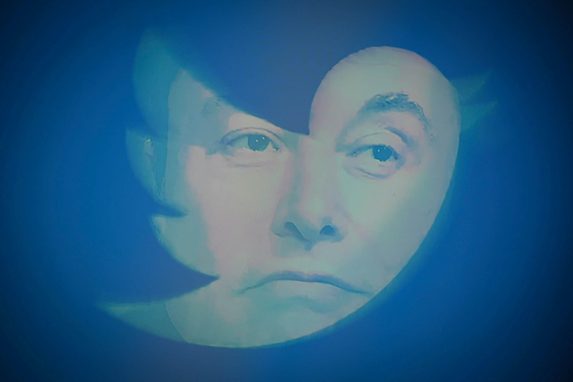 Twitter-Besitzer Elon Musk