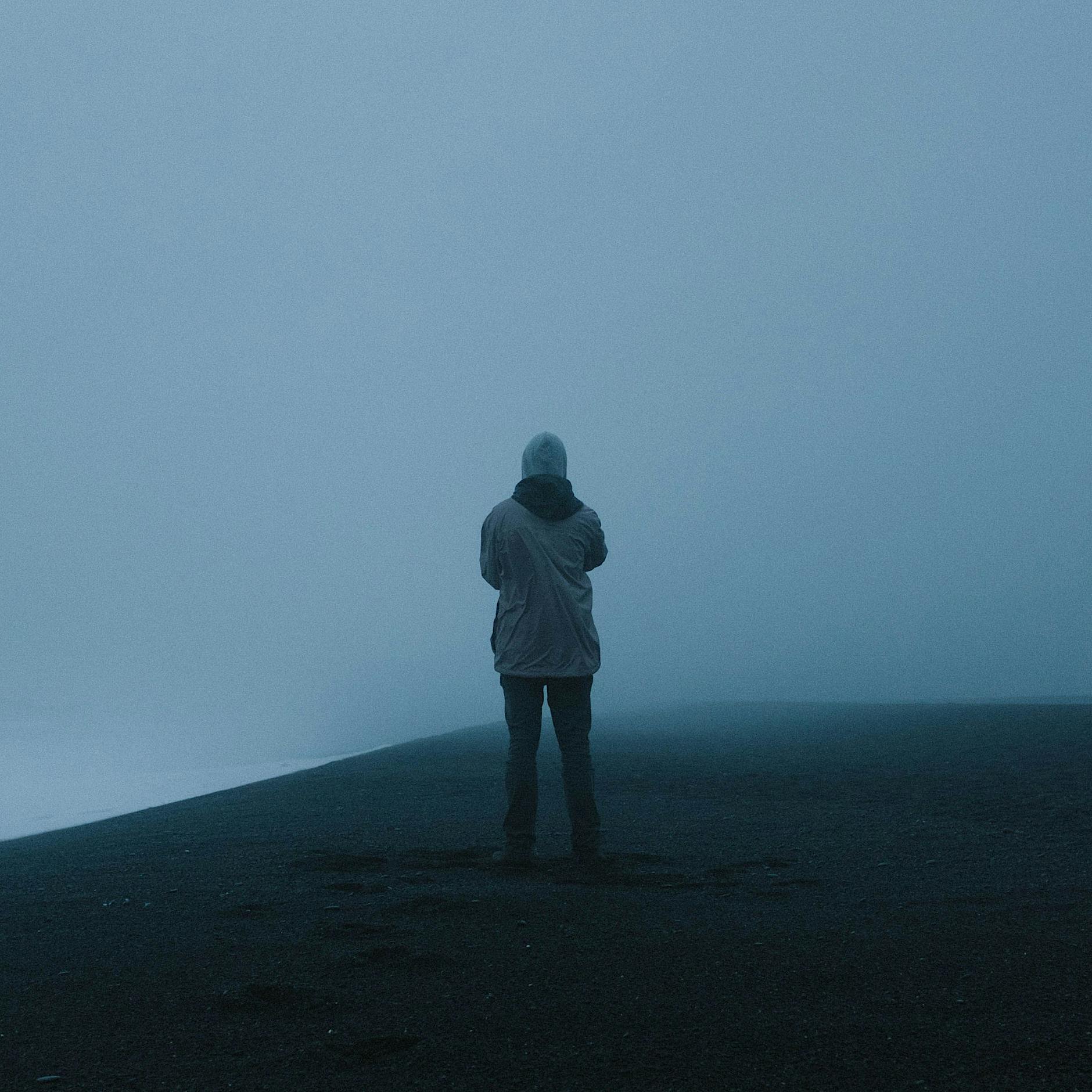 Traurig oder schön? Die Geschichte von Hans, dem 52-Hertz-Wal und Dirk Gieselmann