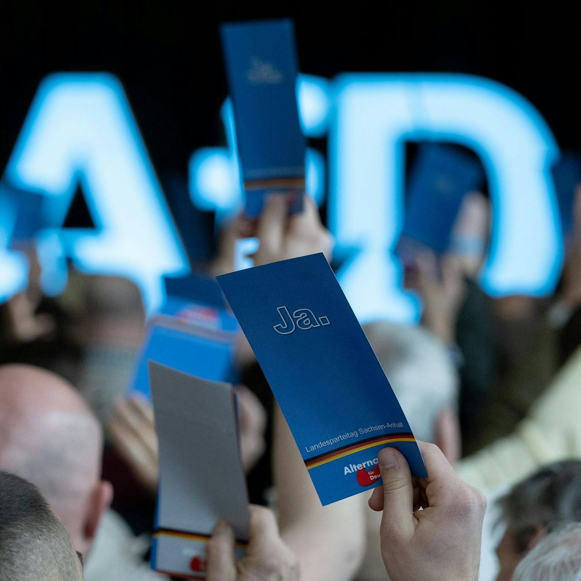 Denn Sie wissen nicht, was Sie wählen!