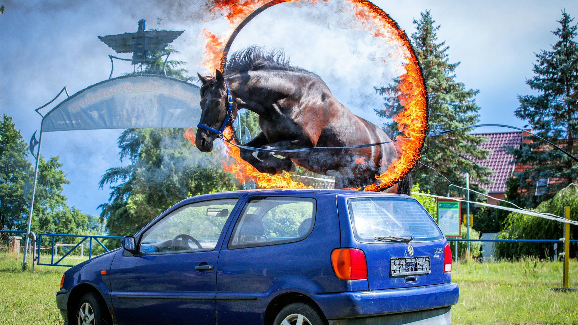 Durch einen brennenden Reifen und über ein Auto springt das Pferd von DDR-Stuntman Wolfgang Kring.