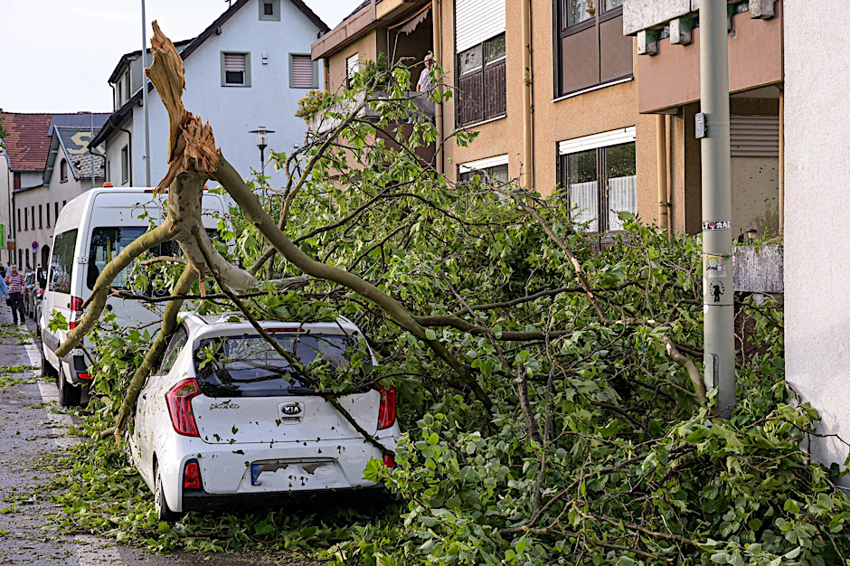 Teile eines Baumes liegen auf einem Auto im hessischen Kelsterbach nach dem schweren Unwetter Ende Juni.