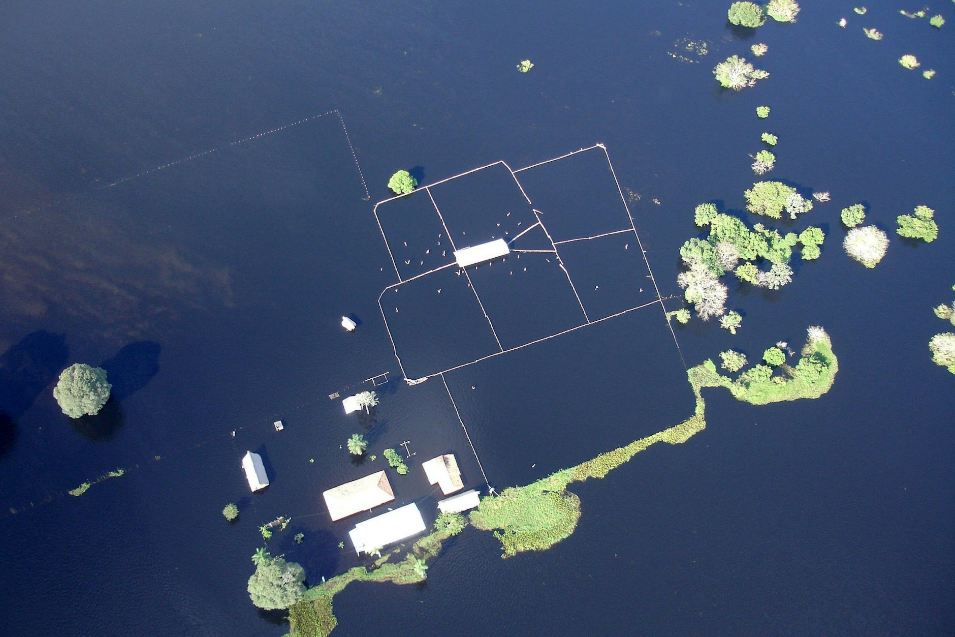 Die Stadt Trinidad in der Region Beni in Bolivien unter Wasser: Aufrund der schweren Regenfälle waren 40.000 Menschen obdachlos geworden.&nbsp;