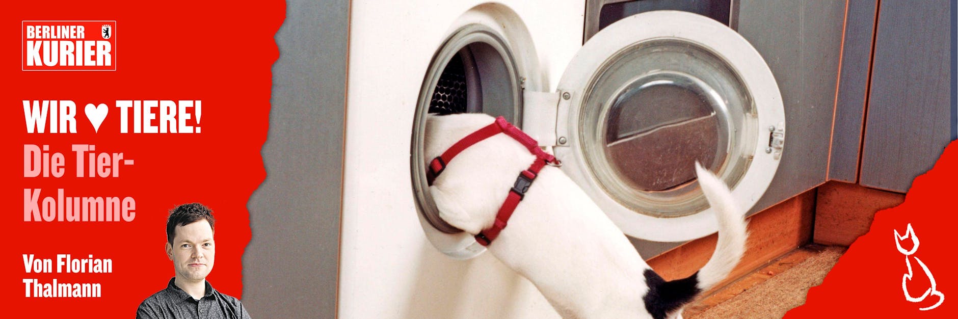 Tier-Experten sind sicher: Hunde können sogar darauf trainiert werden, die Waschmaschine einzuräumen.