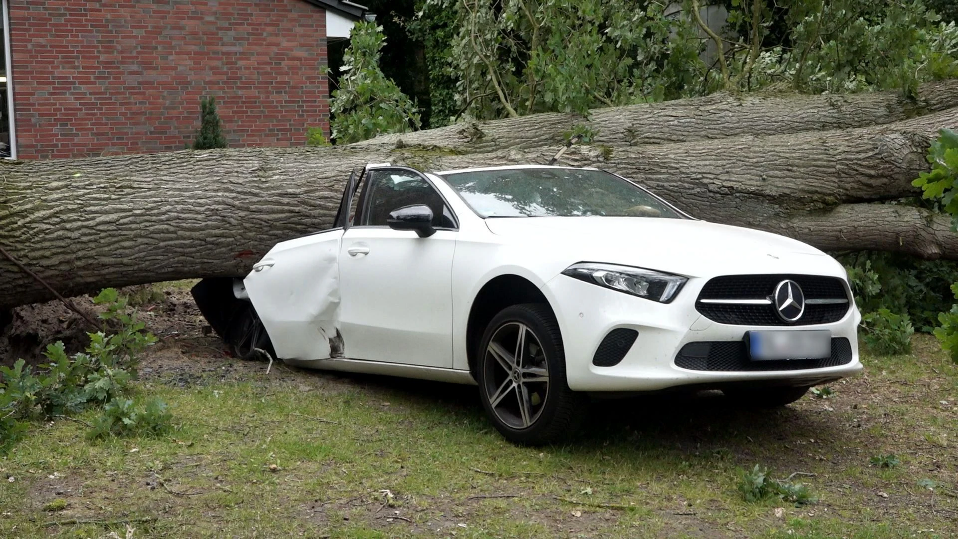 Ein entwurzelte Eiche ist in Oldenburg (Niedersachsen) auf ein parkendes Auto gestürzt.