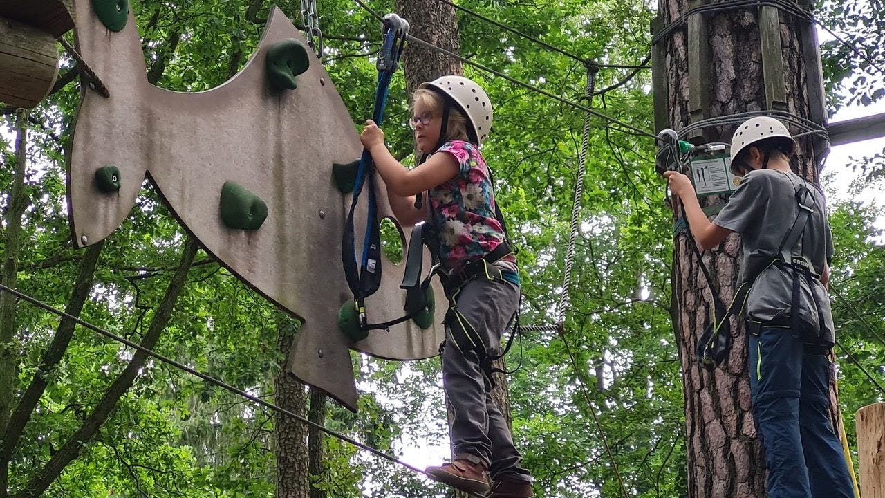 Im Kletterwald gilt es verschiedene Hindernisse zu überwinden.