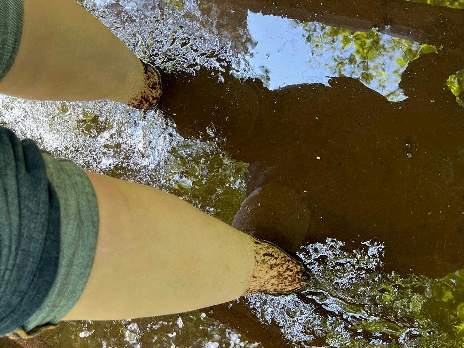 Im Barfußpark Beelitz durch Matsch zu laufen, ist vor allem im Sommer ein Highlight.