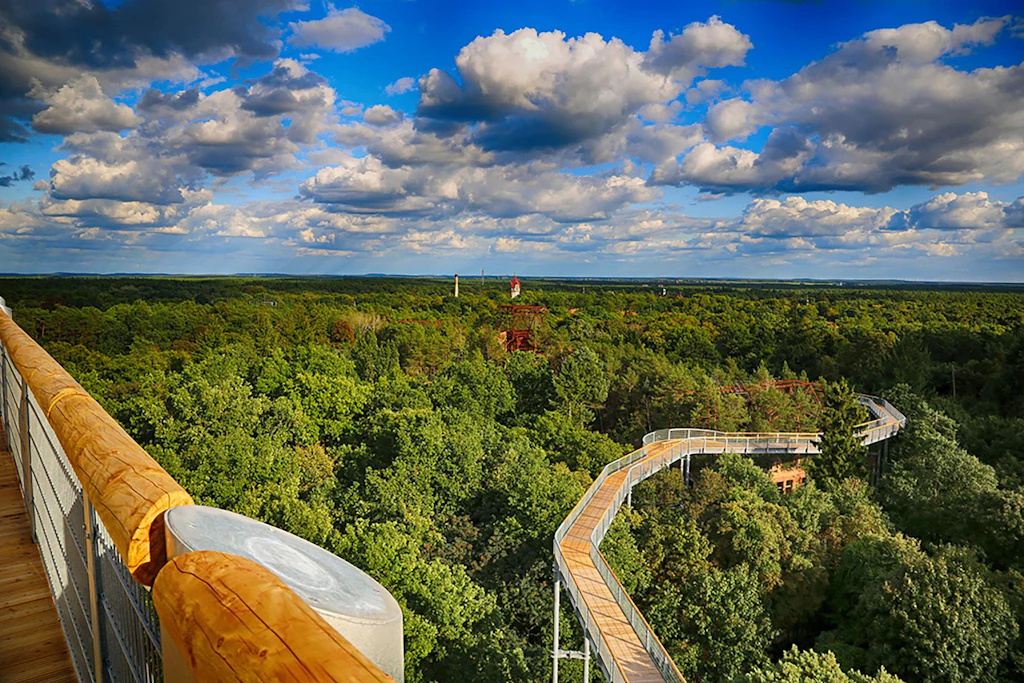 Berlin mit Kindern: Der Natur ganz nah im Baumkronenpfad Beelitz