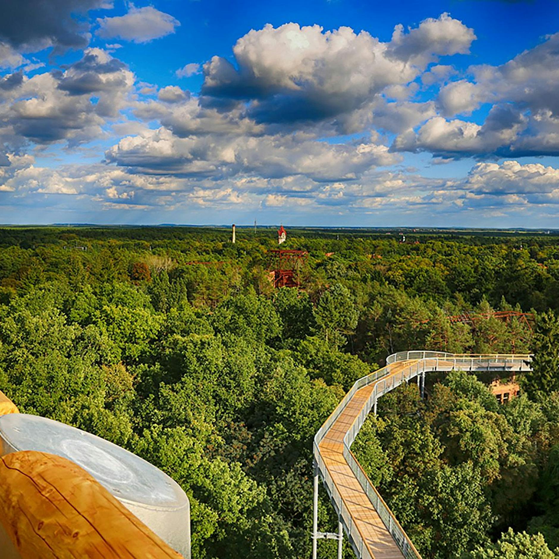 Berlin mit Kindern: Der Natur ganz nah im Baumkronenpfad Beelitz