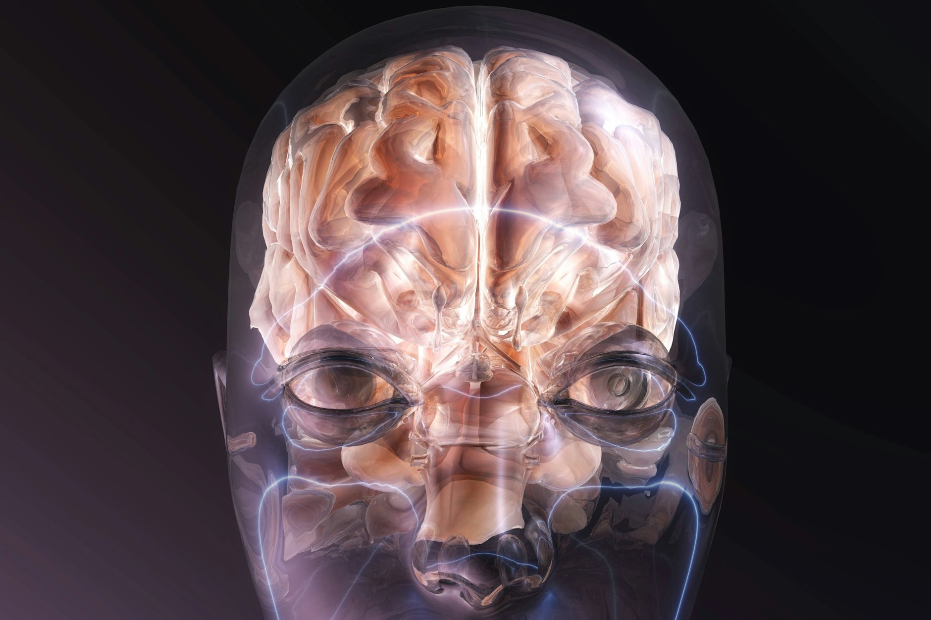 Das menschliche Gehirn wird immer kleiner. Ein Faktor könnte die Erderwärmung sein.