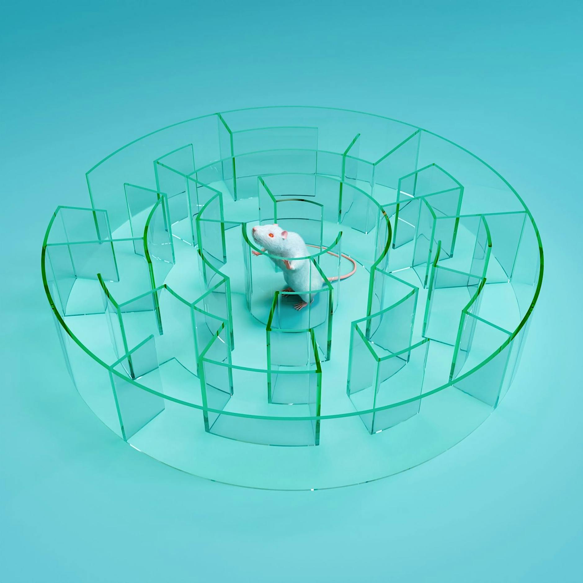 Tierversuche in Berlin: „Finale Narkose und Tötung des Tieres durch Entbluten“