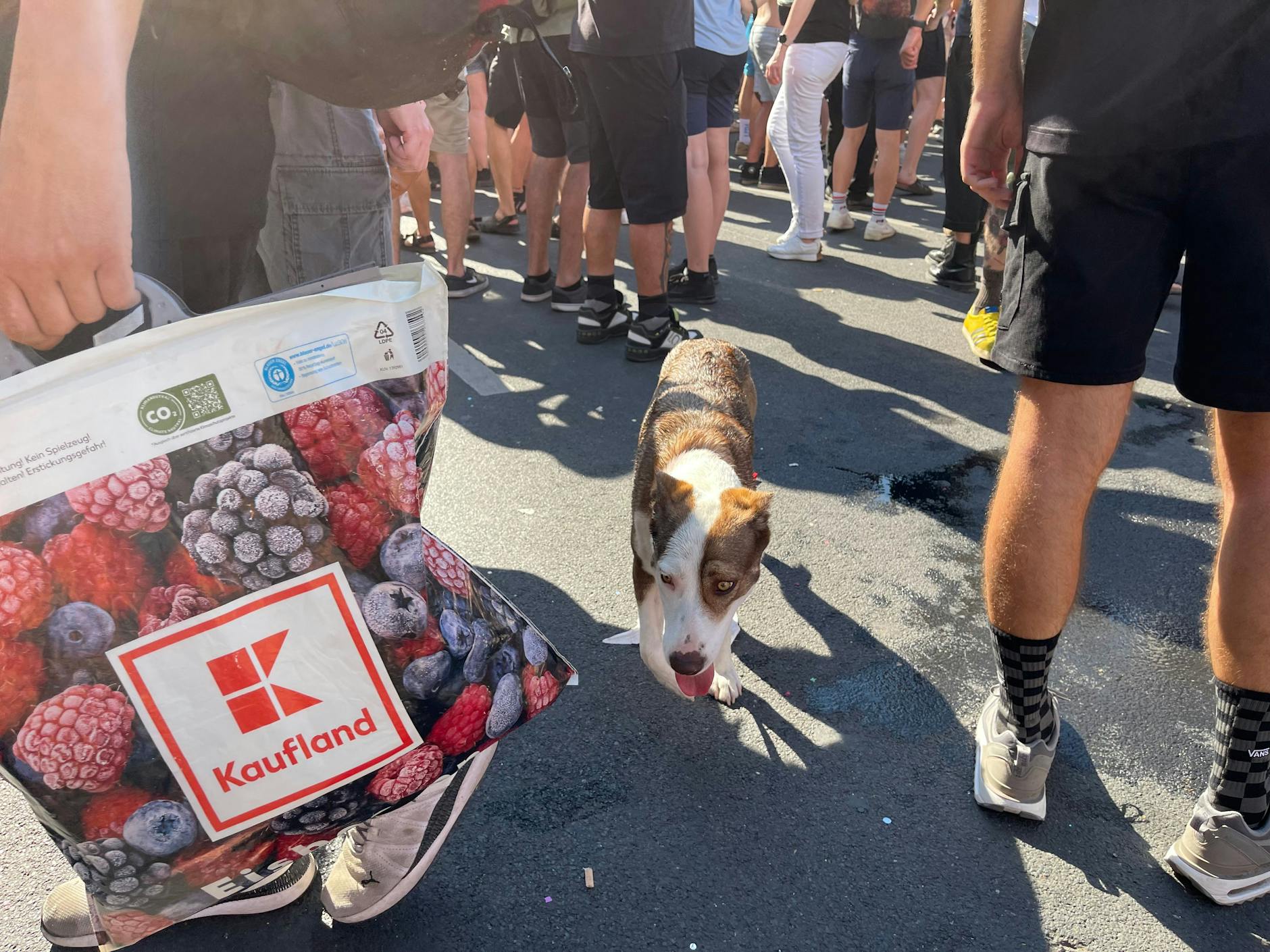 Dieser arme Hund muss selber laufen.