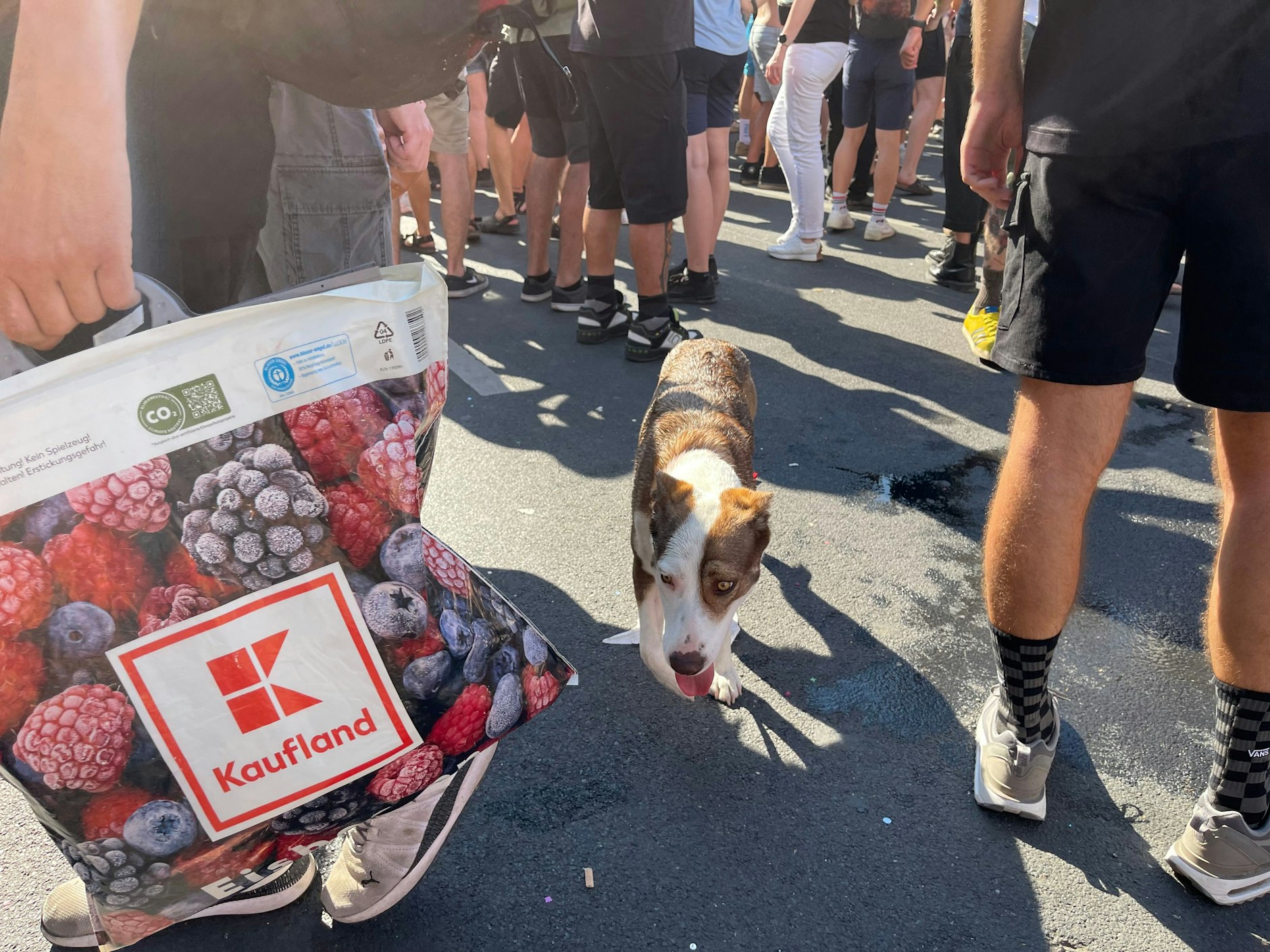 Dieser arme Hund muss selber laufen.