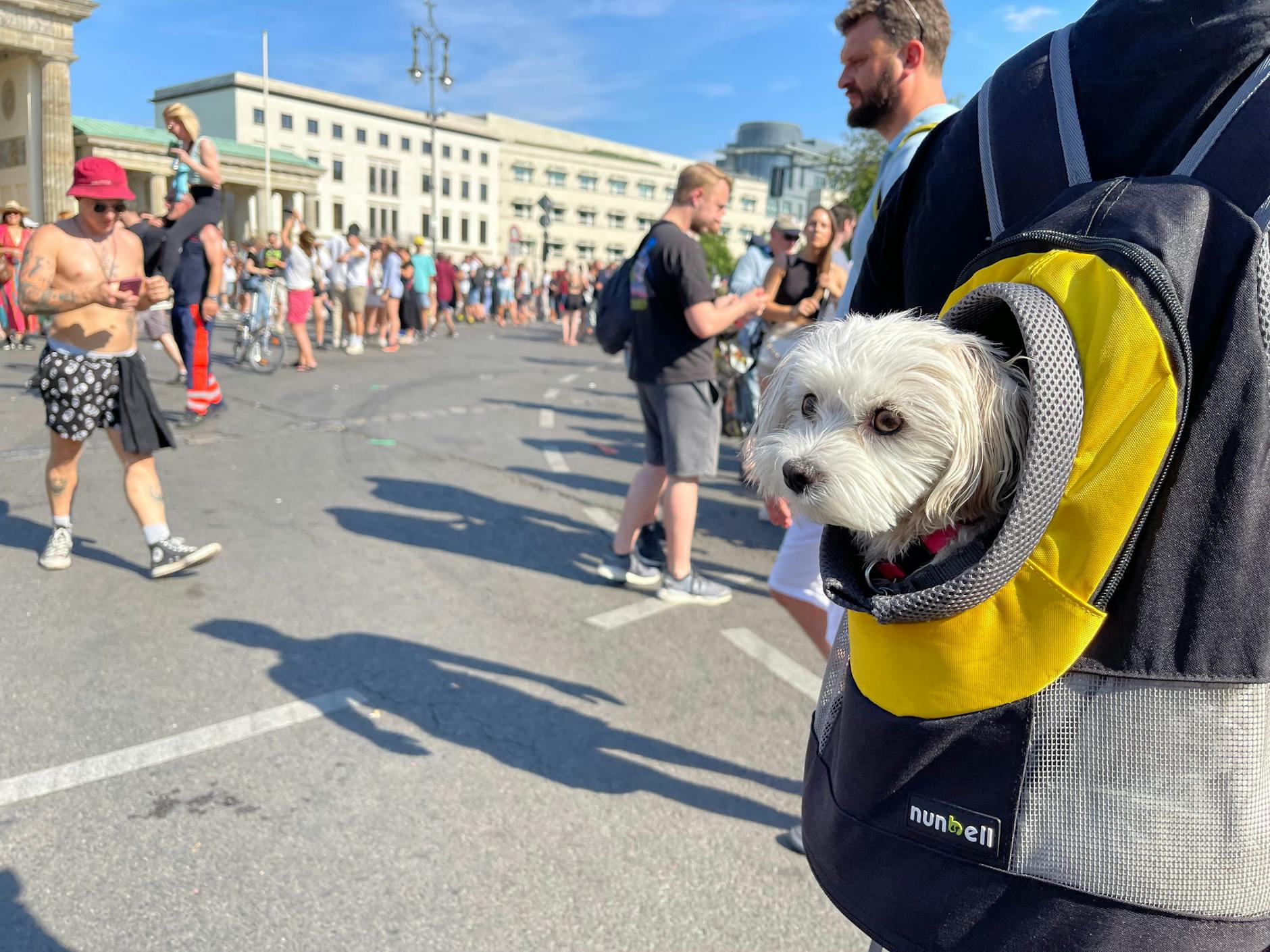 Hier hat jemand seinen Wauwau im Gepäck.