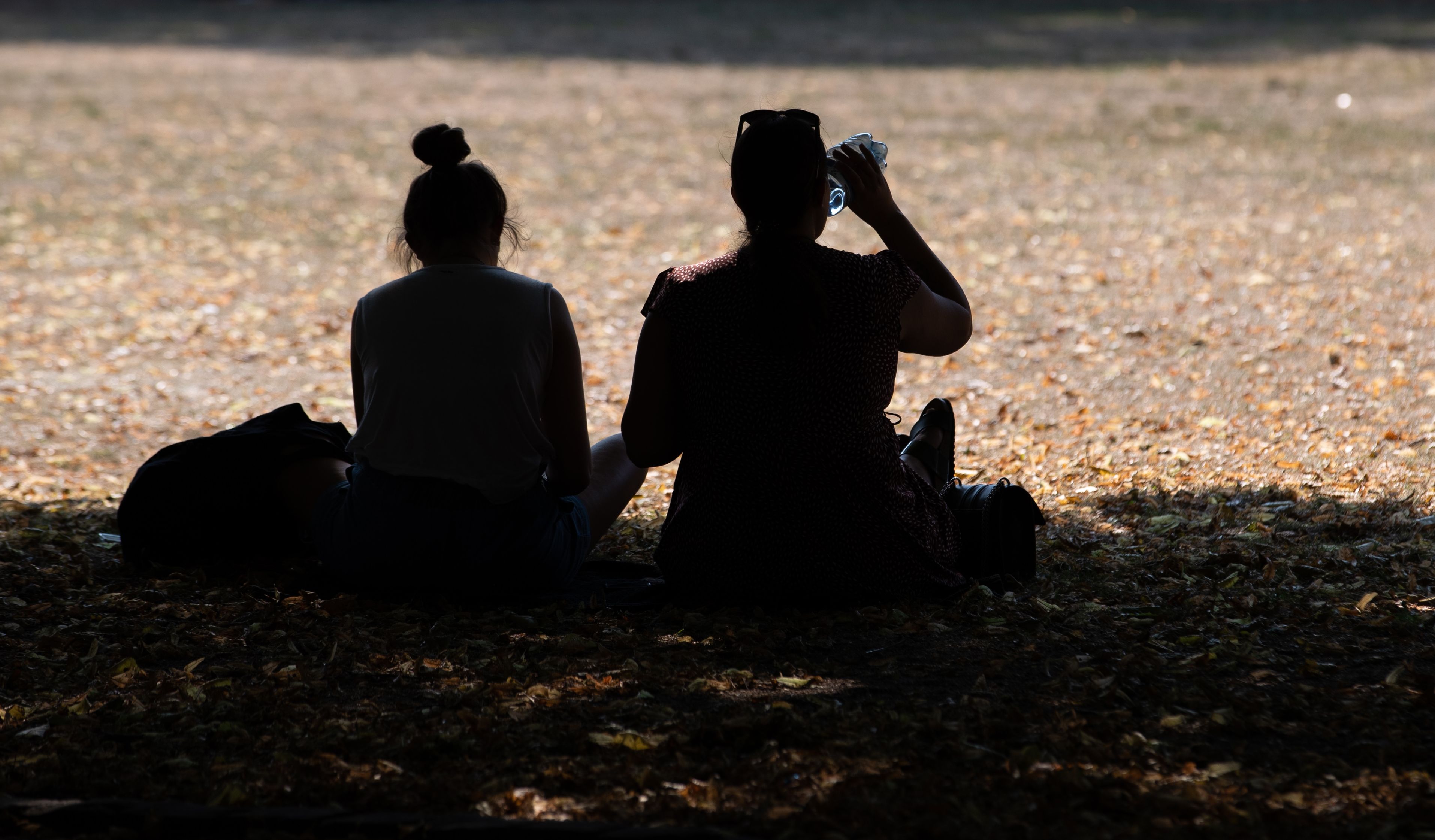 Hitzepickel, Sonnenstich, Kollaps: Auf diese körperlichen Anzeichen sollten Sie bei Hitze achten
