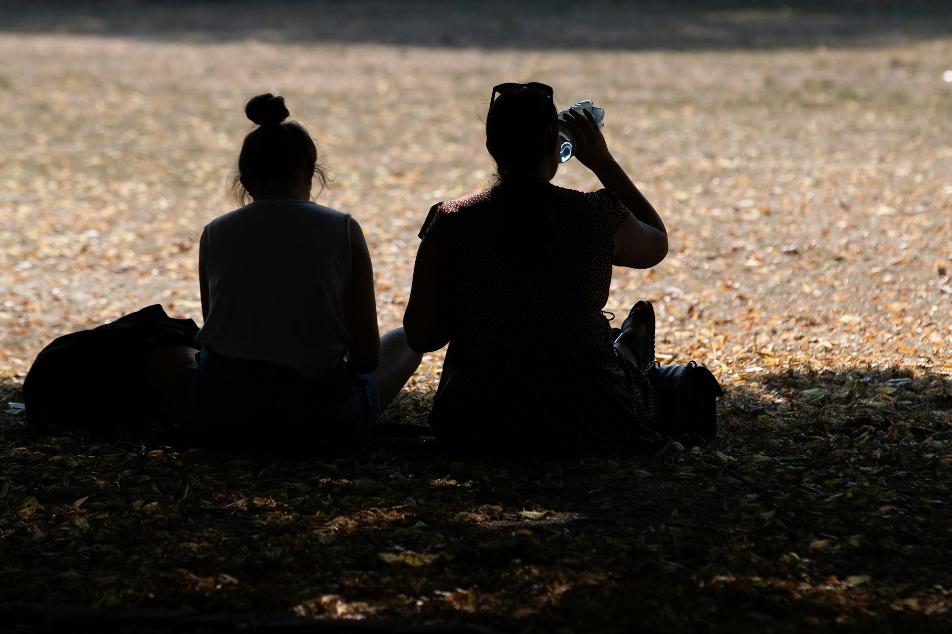 Schatten und ausreichend Wasser: eine gute Strategie bei Hitze.&nbsp;