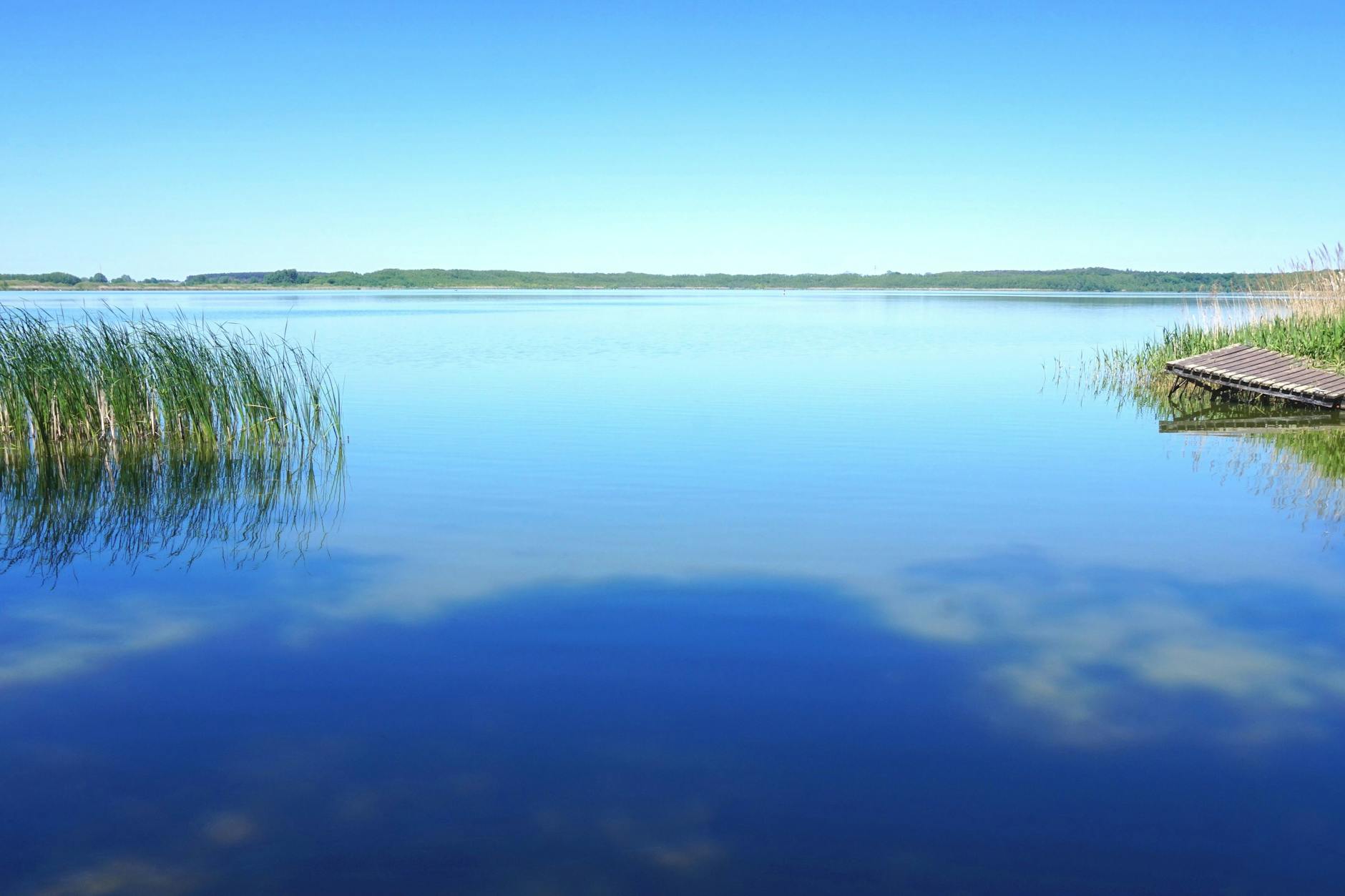 Im Rangsdorfer See ertrank am Sonntag ein sechsjähriges Mädchen.