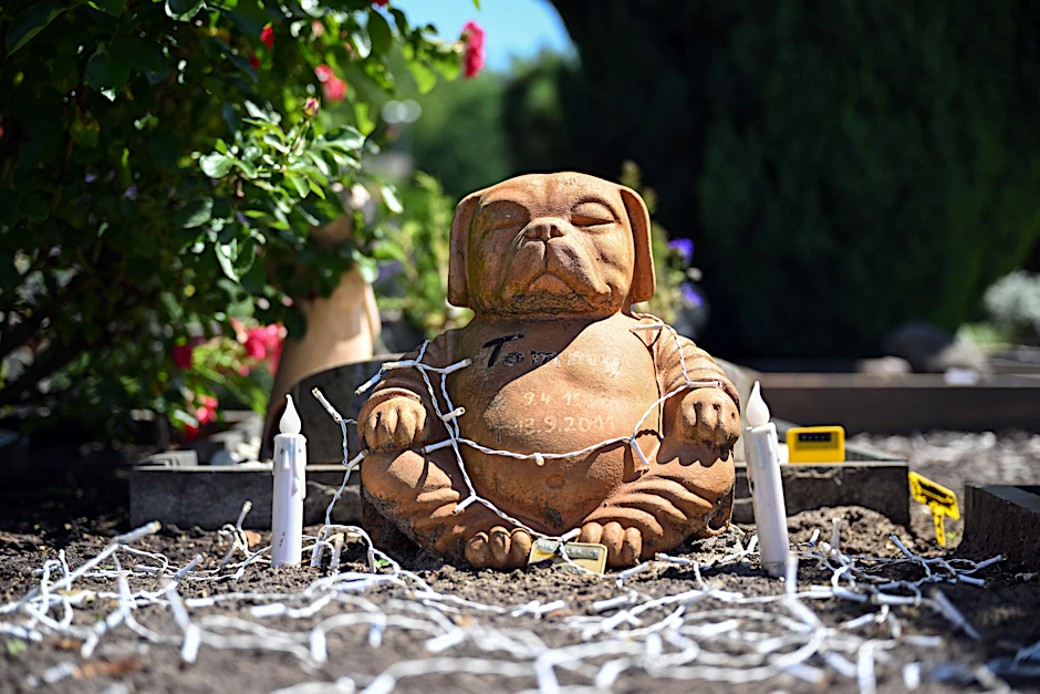 Die Figur eines  Hundes sitzt auf dem Friedhof des Teltower Tierbestattungszentrums Tierhimmel auf einem Grab zwischen zwei elektrischen Kerzen. Auf dem im Jahr 2003 eröffneten parkähnlichen Friedhof gibt es etwa 8500 individuell gestaltete Grabstellen für Vierbeiner.