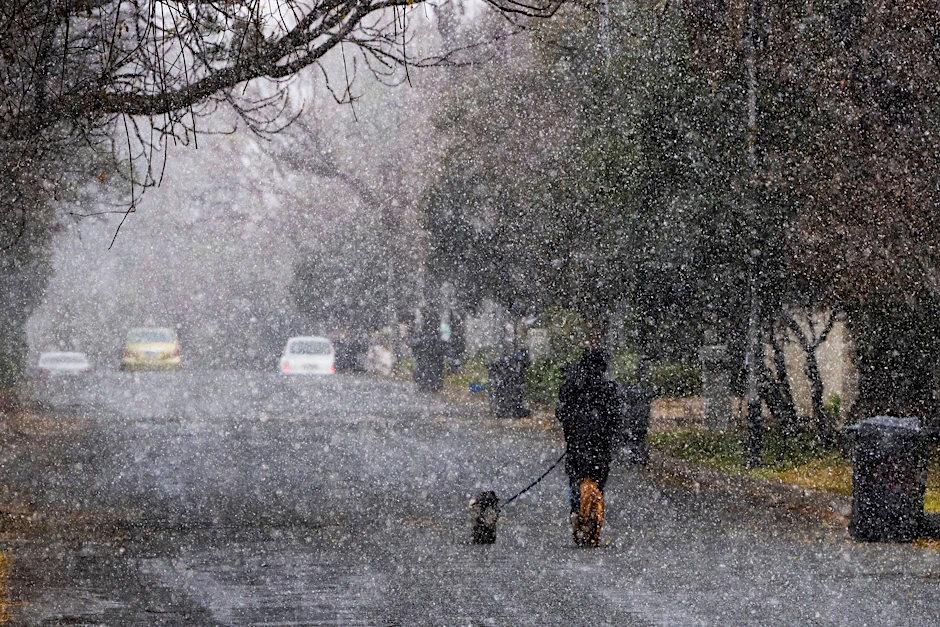 Ein Mann geht mit seinen Hunden während eines Schneesturms in Johannesburg (Südafrika) spazieren.