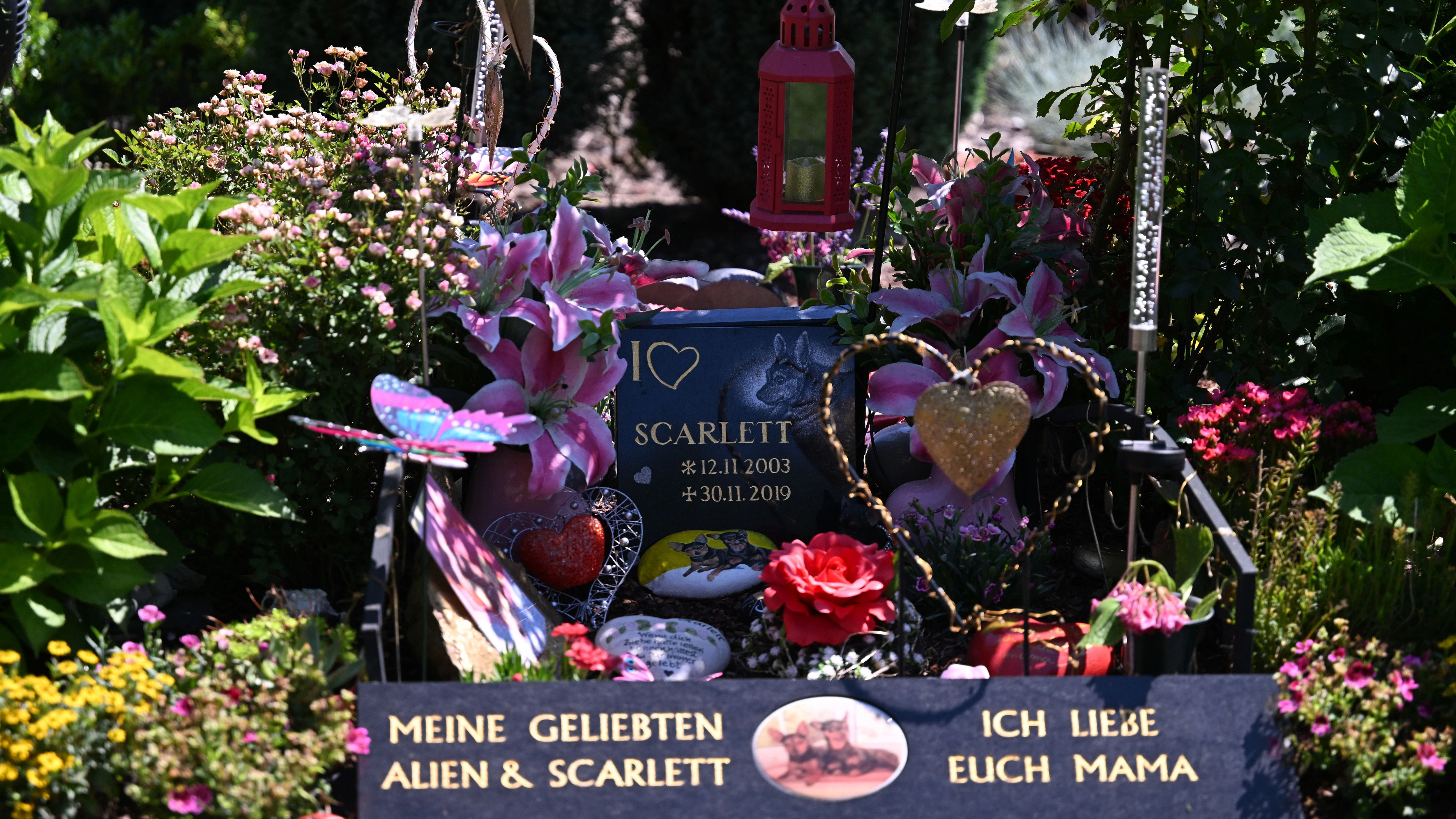 Ein Grabstein für die im Jahr 2019 verstorbenen Hunde Alien und Scarlett steht auf dem Friedhof des Teltower Tierbestattungszentrums Tierhimmel an einem Grab.