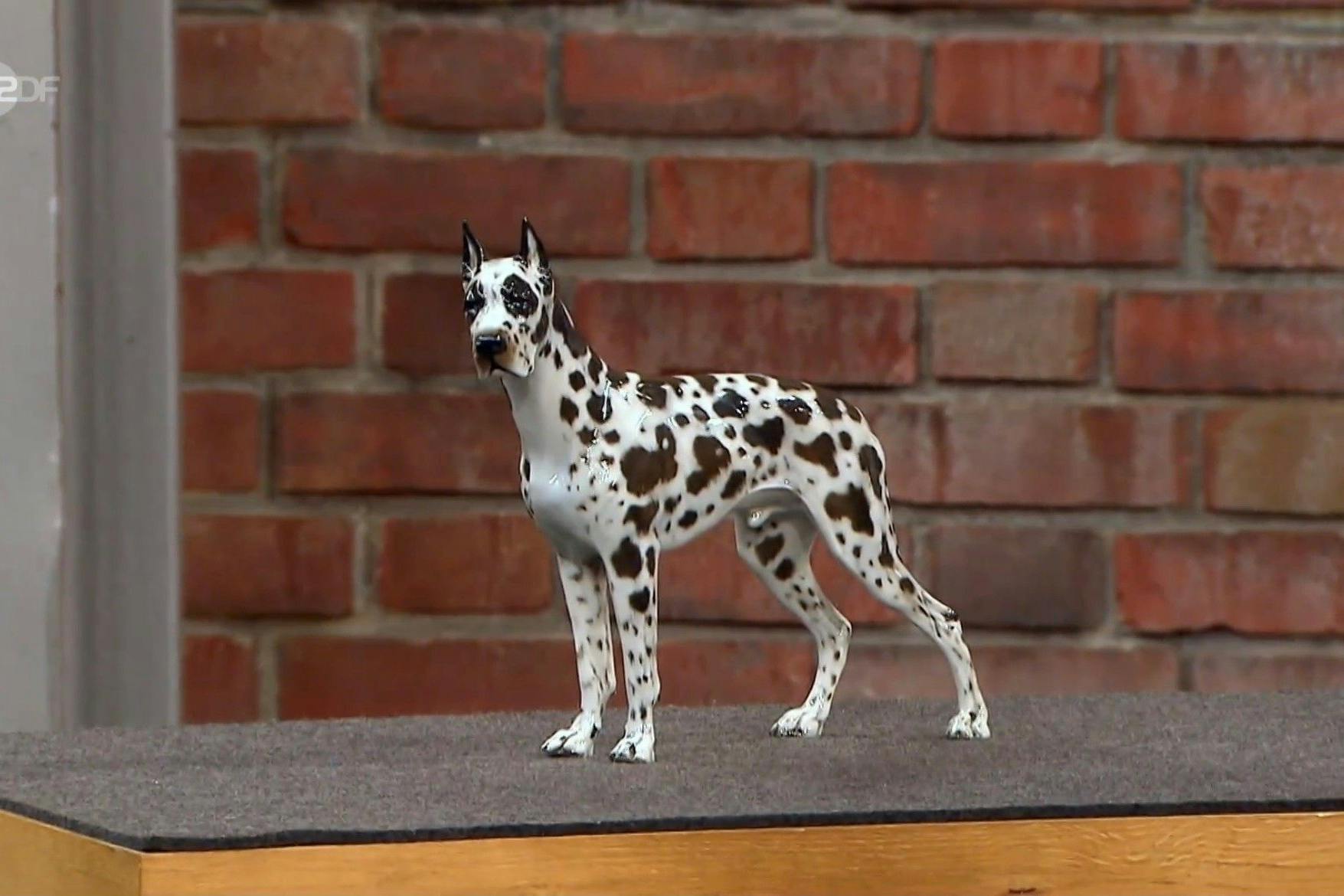 Bei „Bares für Rares“ steht diese Deutsche Dogge zum Verkauf.