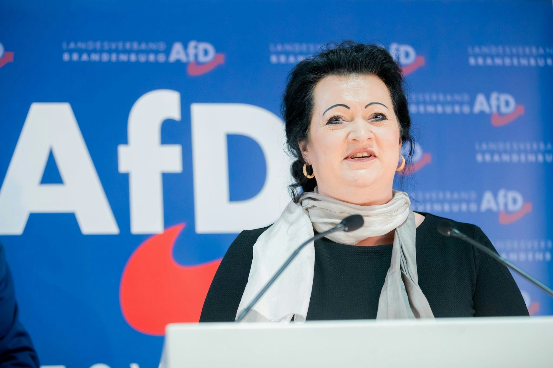 Birgit Bessin, Landesvorsitzende der Brandenburger AfD