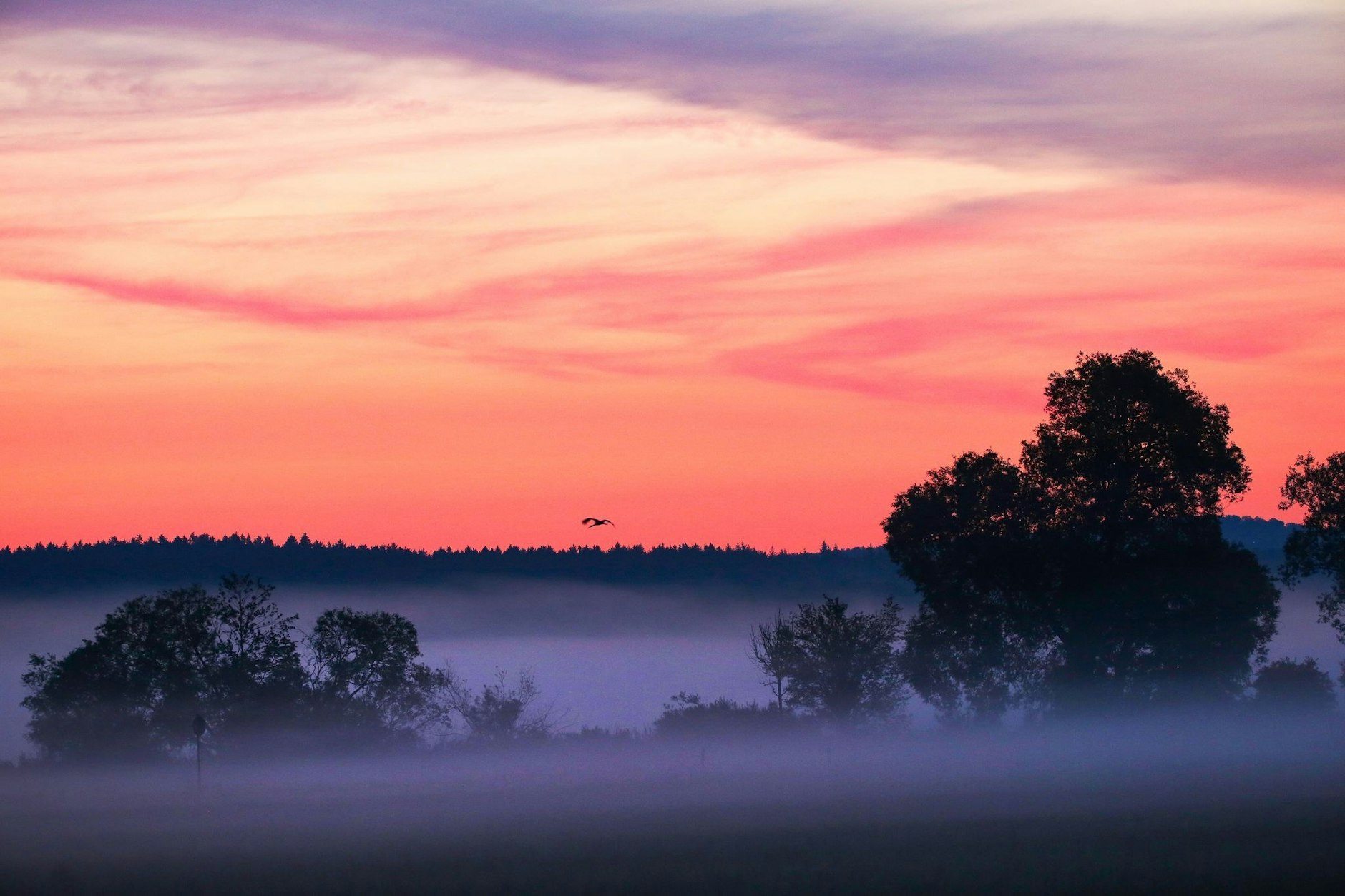 Morgenröte im baden-württembergischen Riedlingen.  