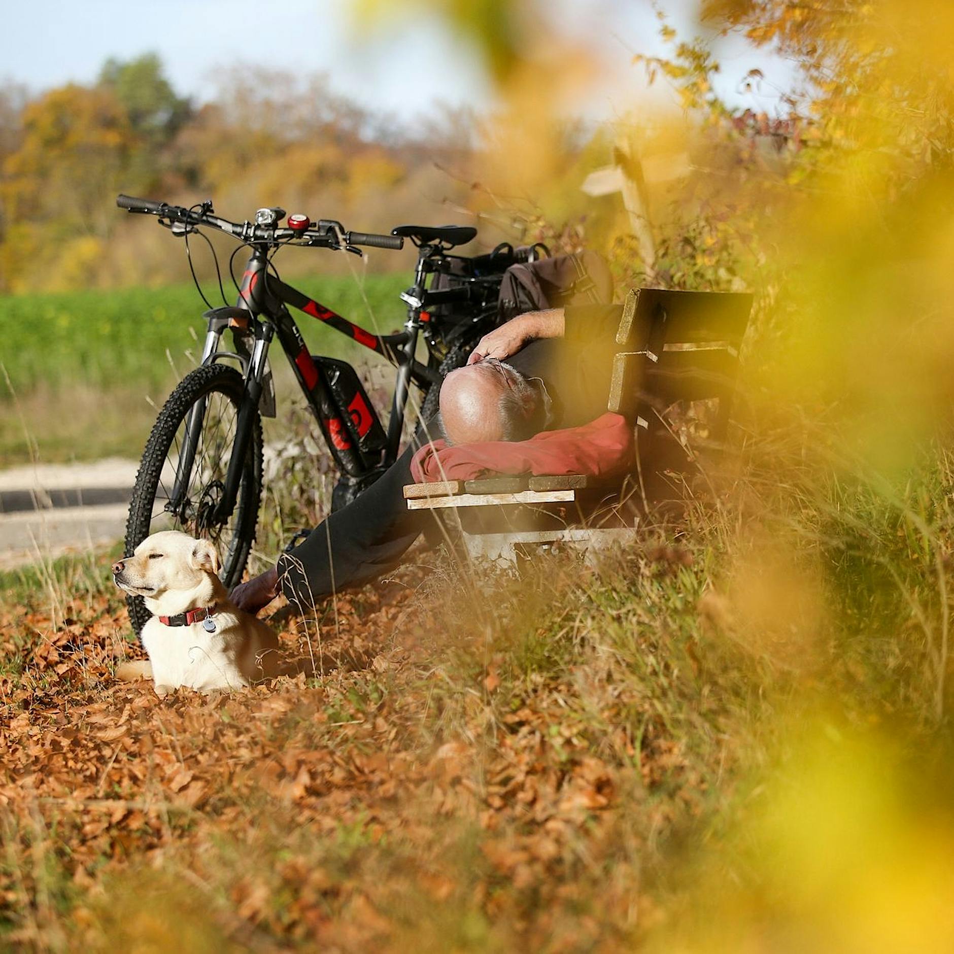 Parkbanksyndrom: Muss ich auf Parkbänken schlafen, um es zu entwickeln?
