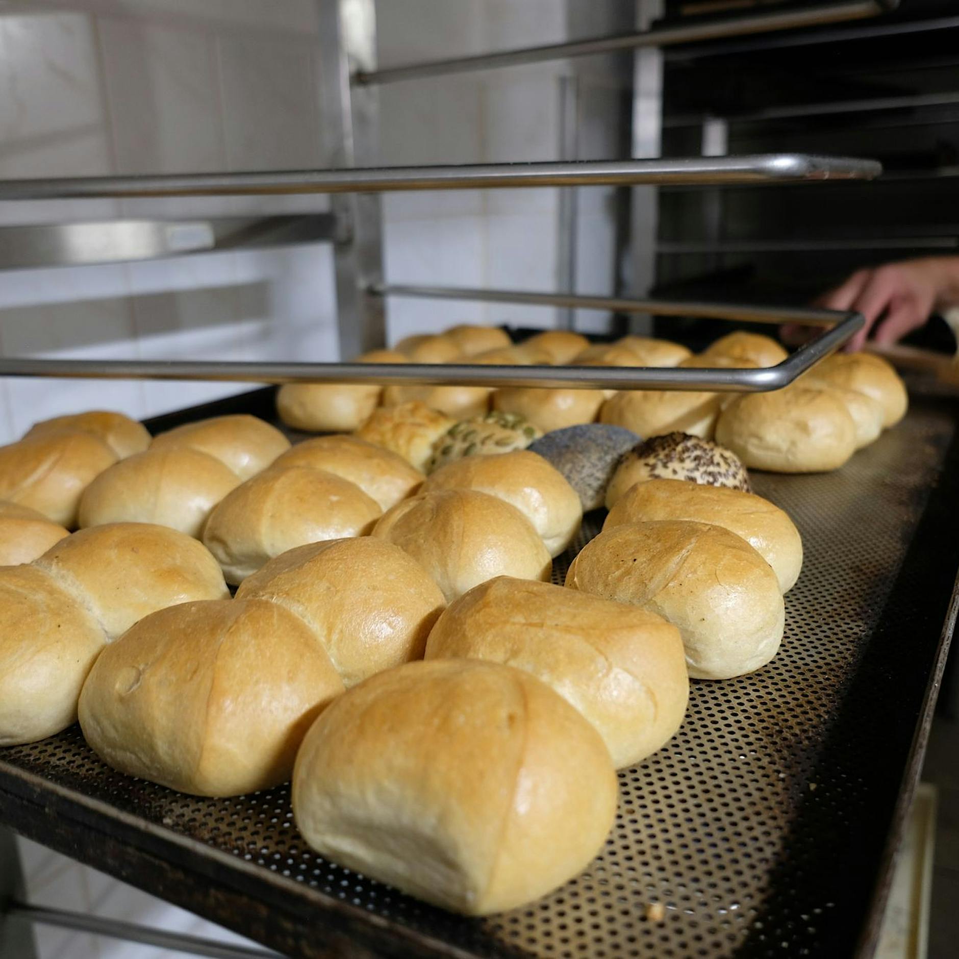Frauen führen mehr als ein Fünftel der Handwerksbetriebe