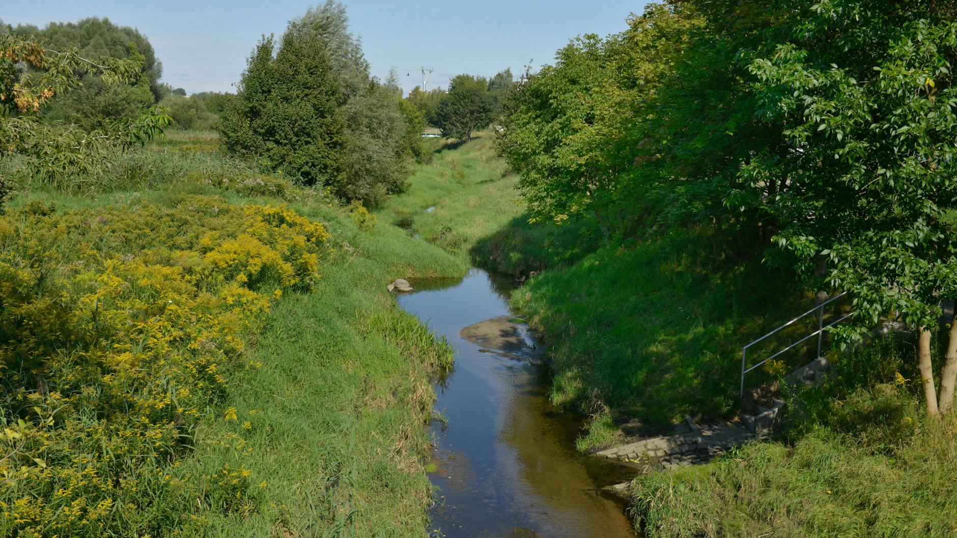 Eine Wanderung durch das malerische Wuhletal ist Entspannung pur – und unterwegs können kleine und große Wanderer auch viele Tiere beobachten.