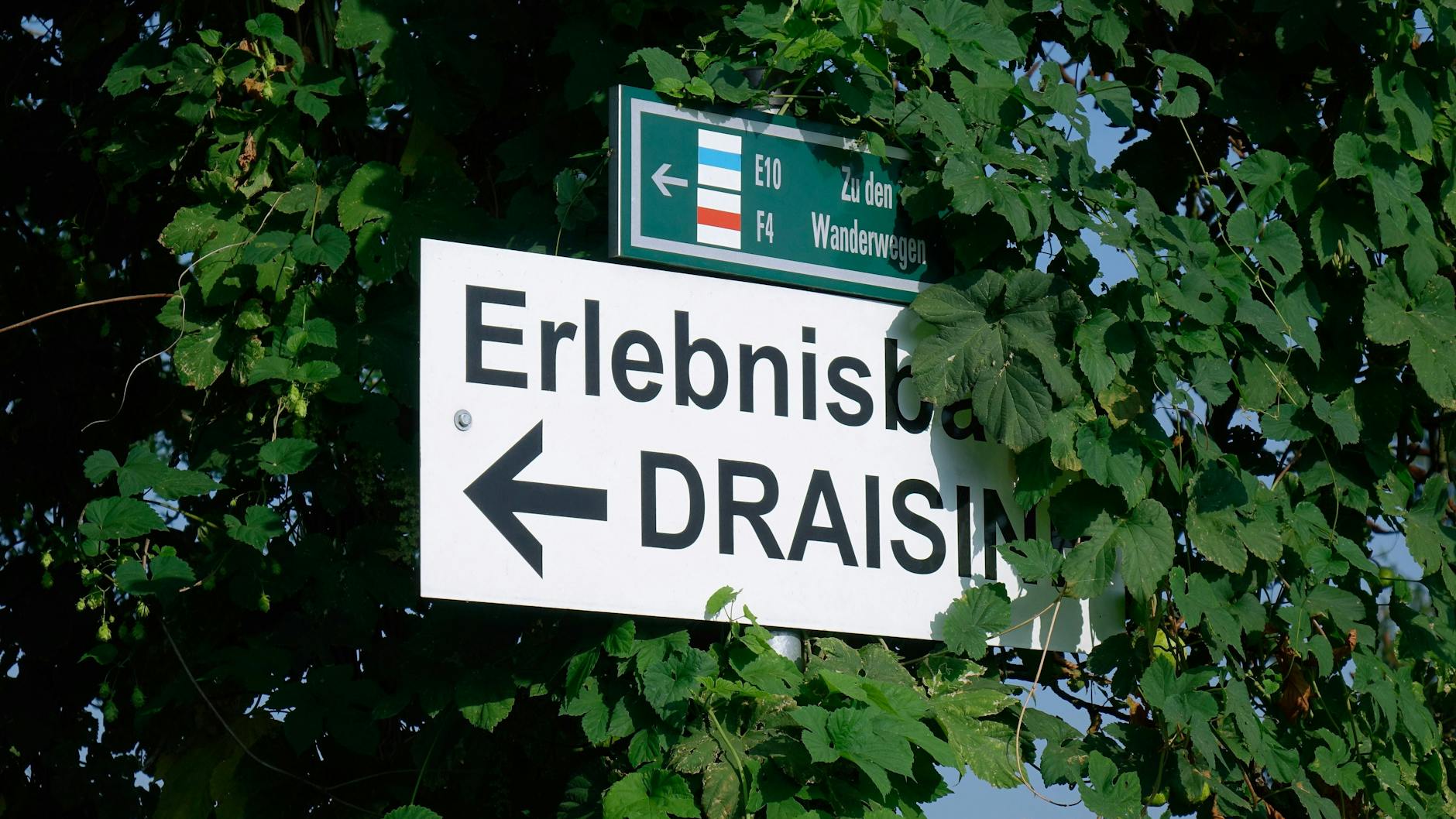 Bewegung und frische Luft: Eine Draisinentour ist perfekt für einen Tagesausflug in den Ferien.