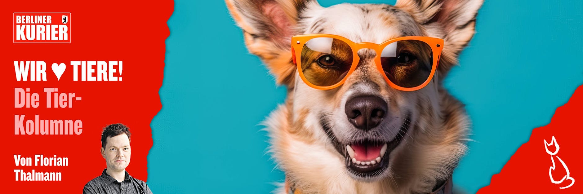 Was tun, damit der Hund cool durch die Sommer-Hitze kommt? Hier kommen ein paar wichtige Tipps.