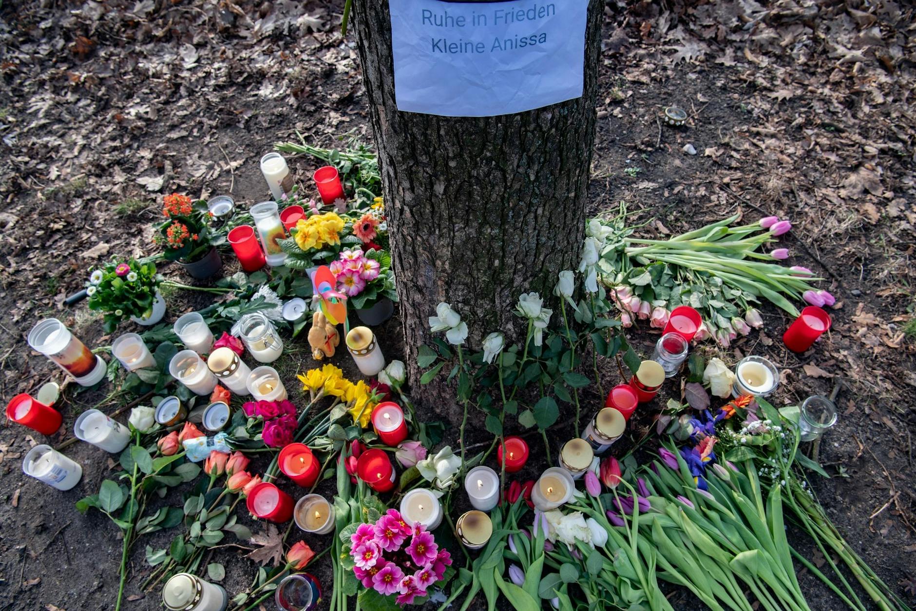 Blumen und Kerzen liegen nach der Tat an einem Baum im Bürgerpark Pankow.