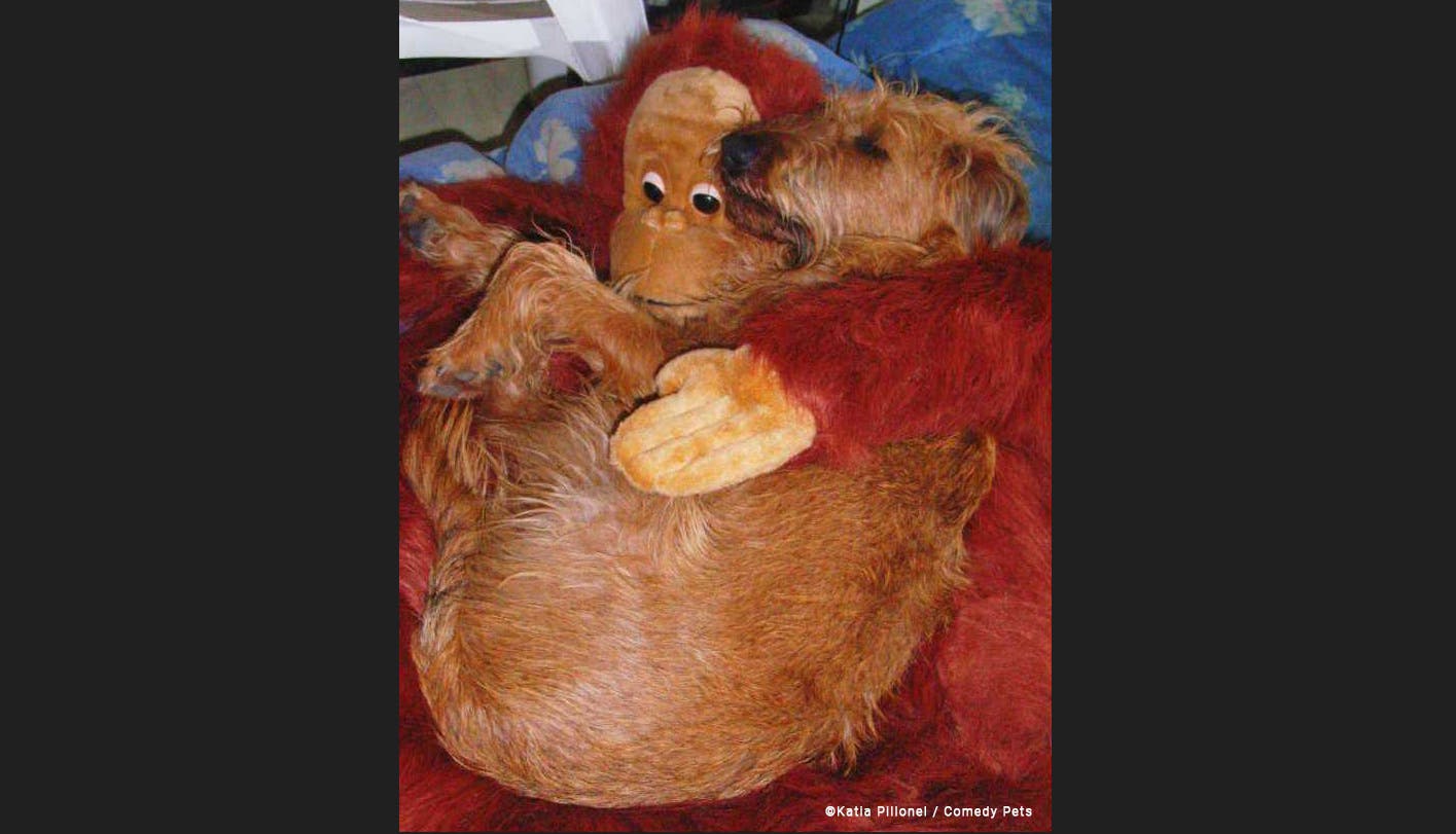 „Kylian's Schlaf“