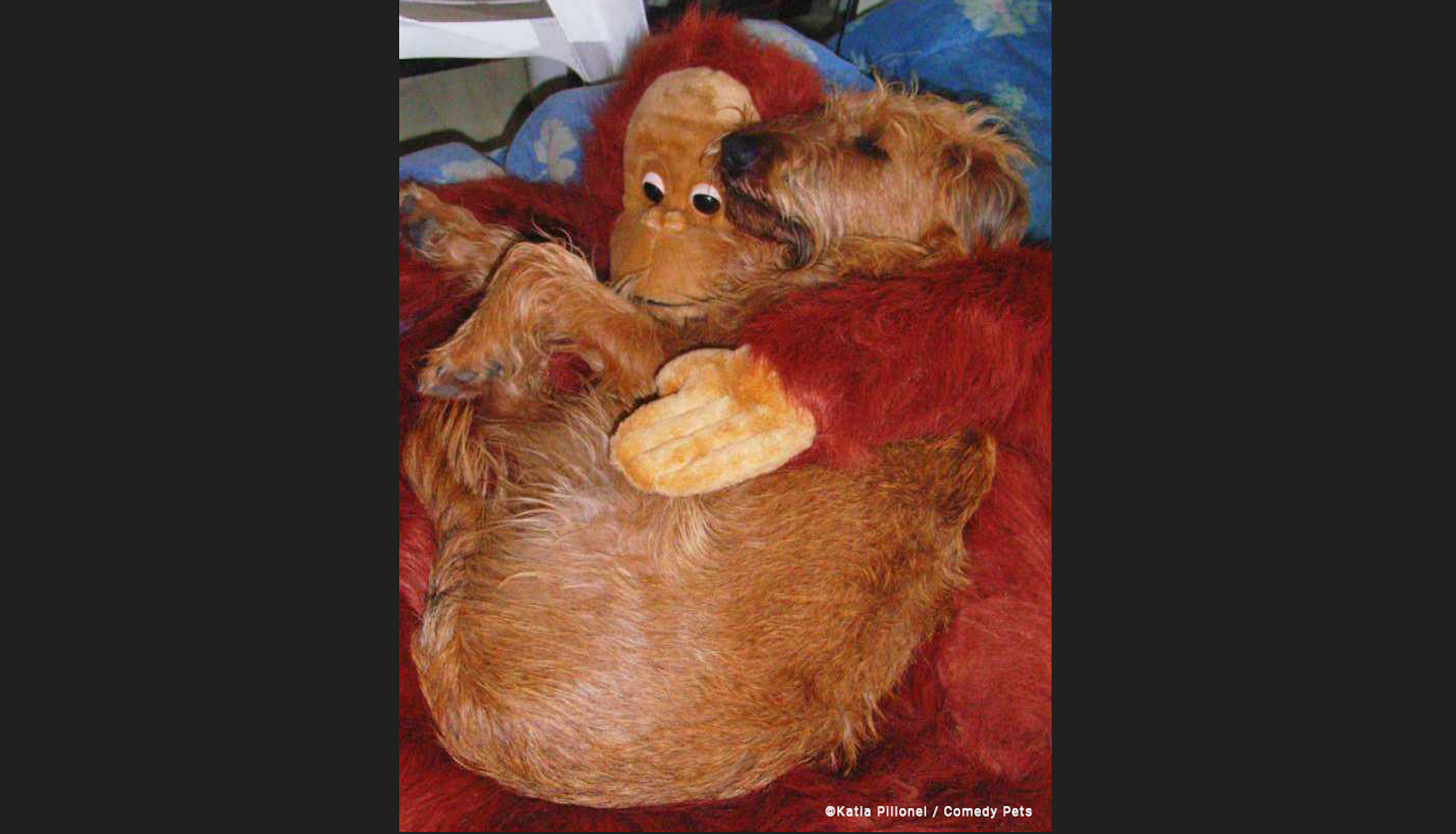 „Kylian's Schlaf“