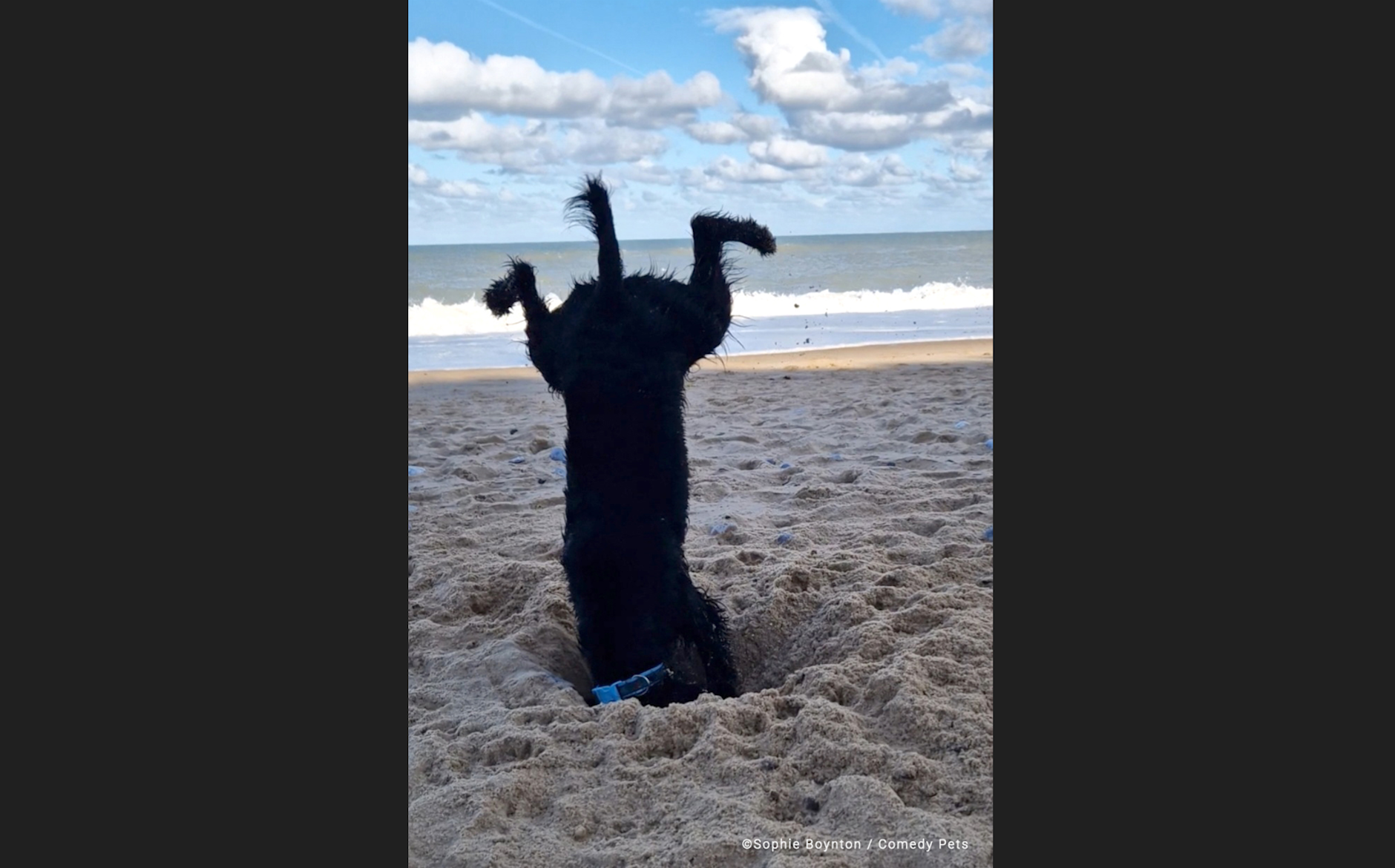 „Wenn das Graben ernst wird“