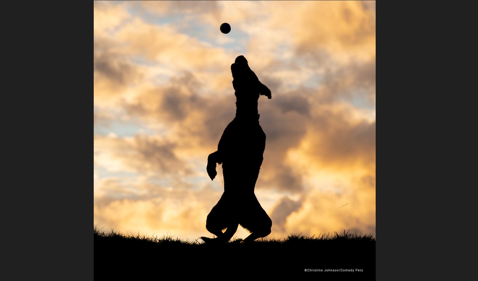 „Ballspiel-Silhouette“