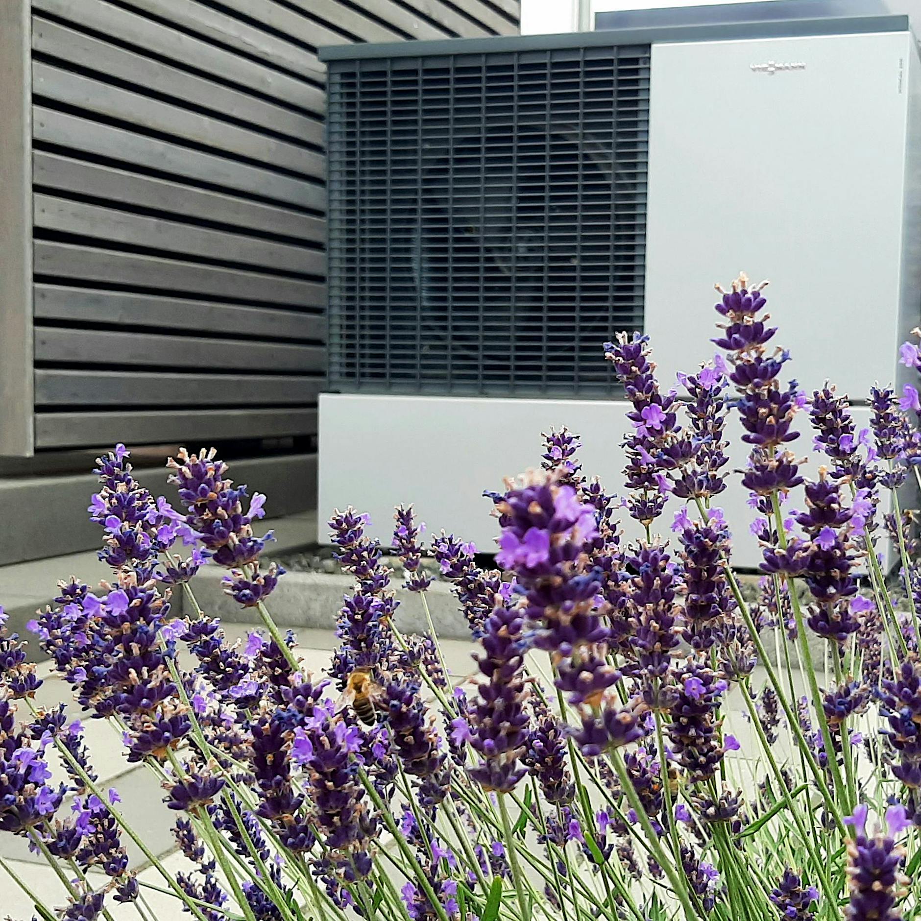 Umfrage zu Wärmepumpen: Die meisten Deutschen halten sich beim Kauf zurück