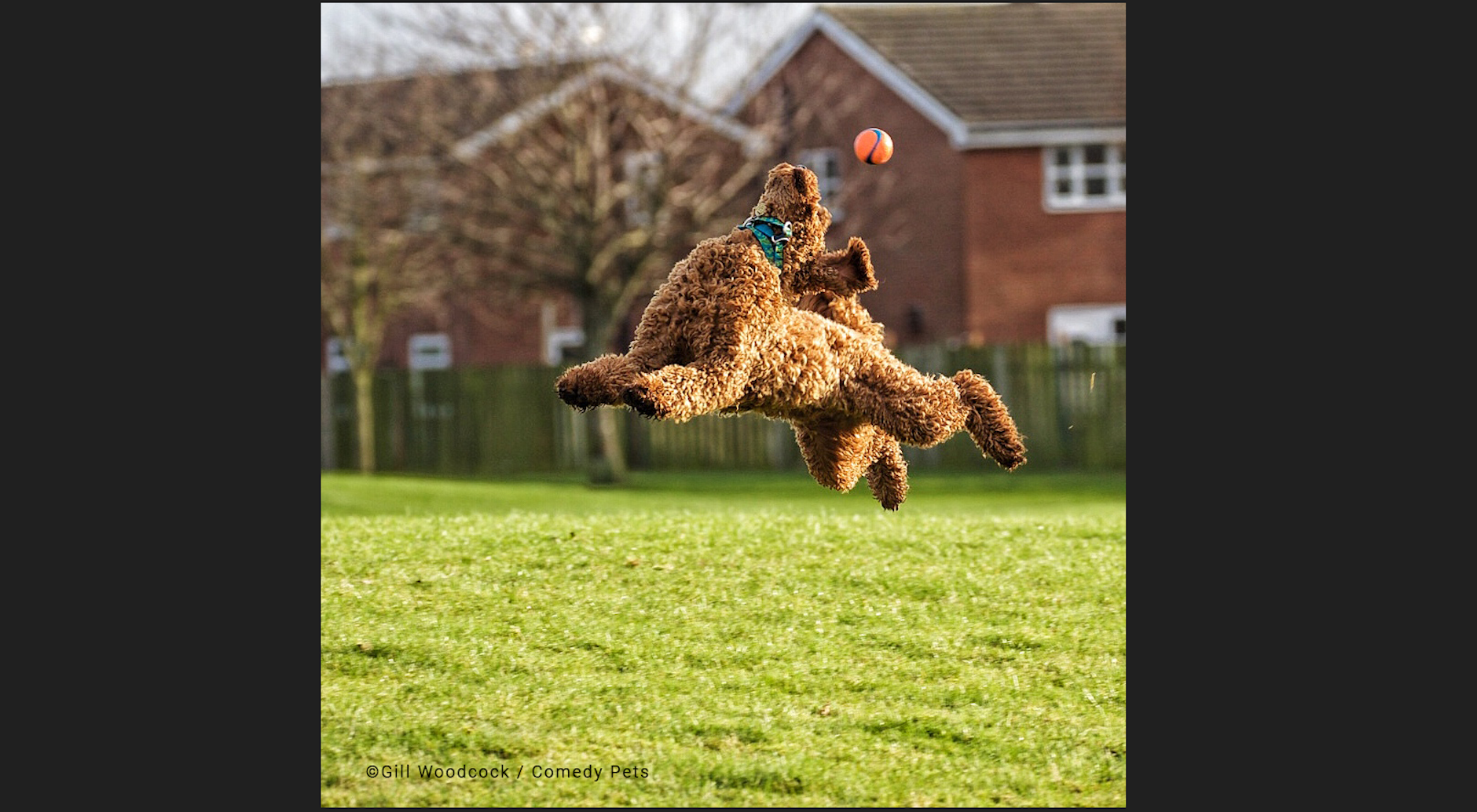 „Behalten Sie den Ball im Auge“